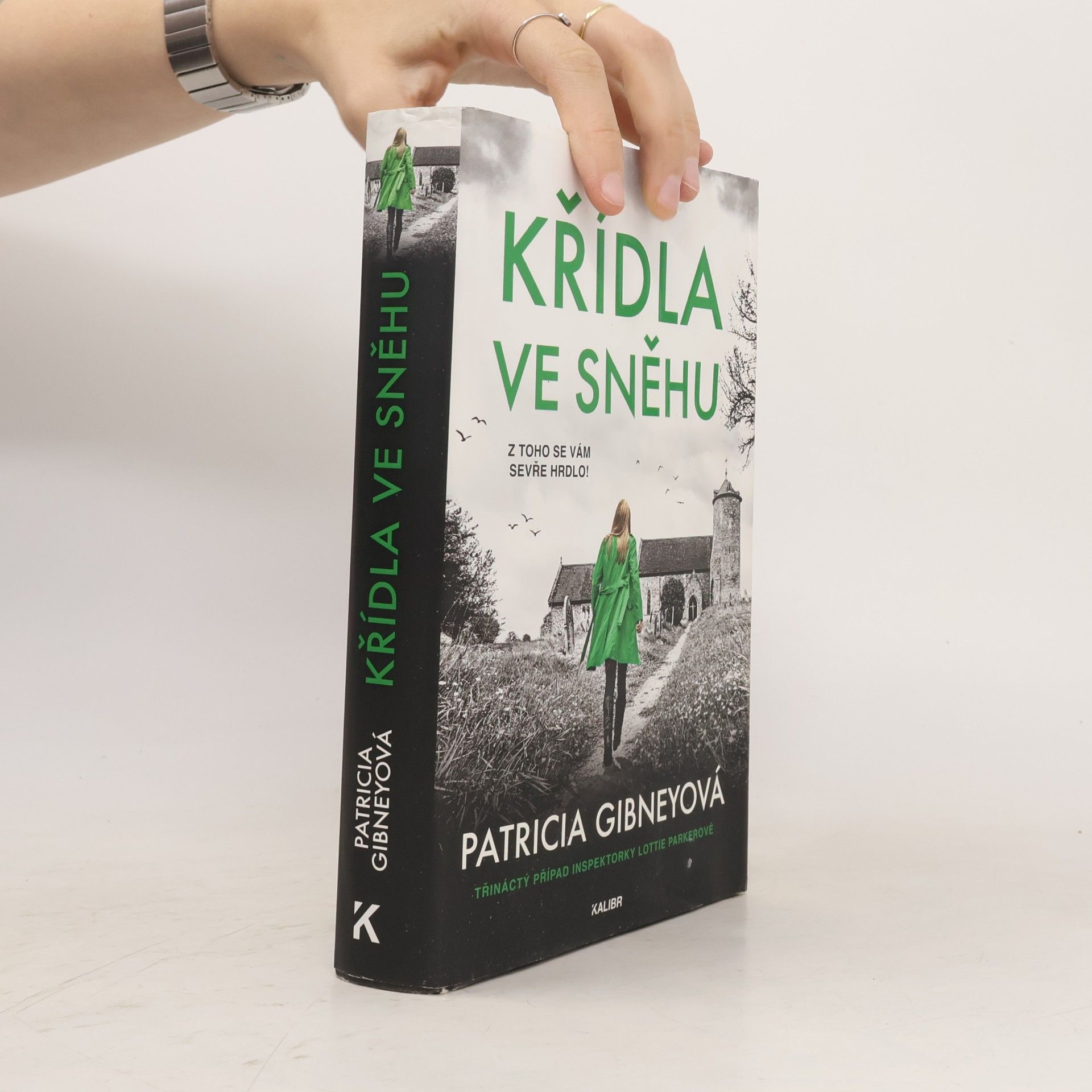 Křídla ve sněhu