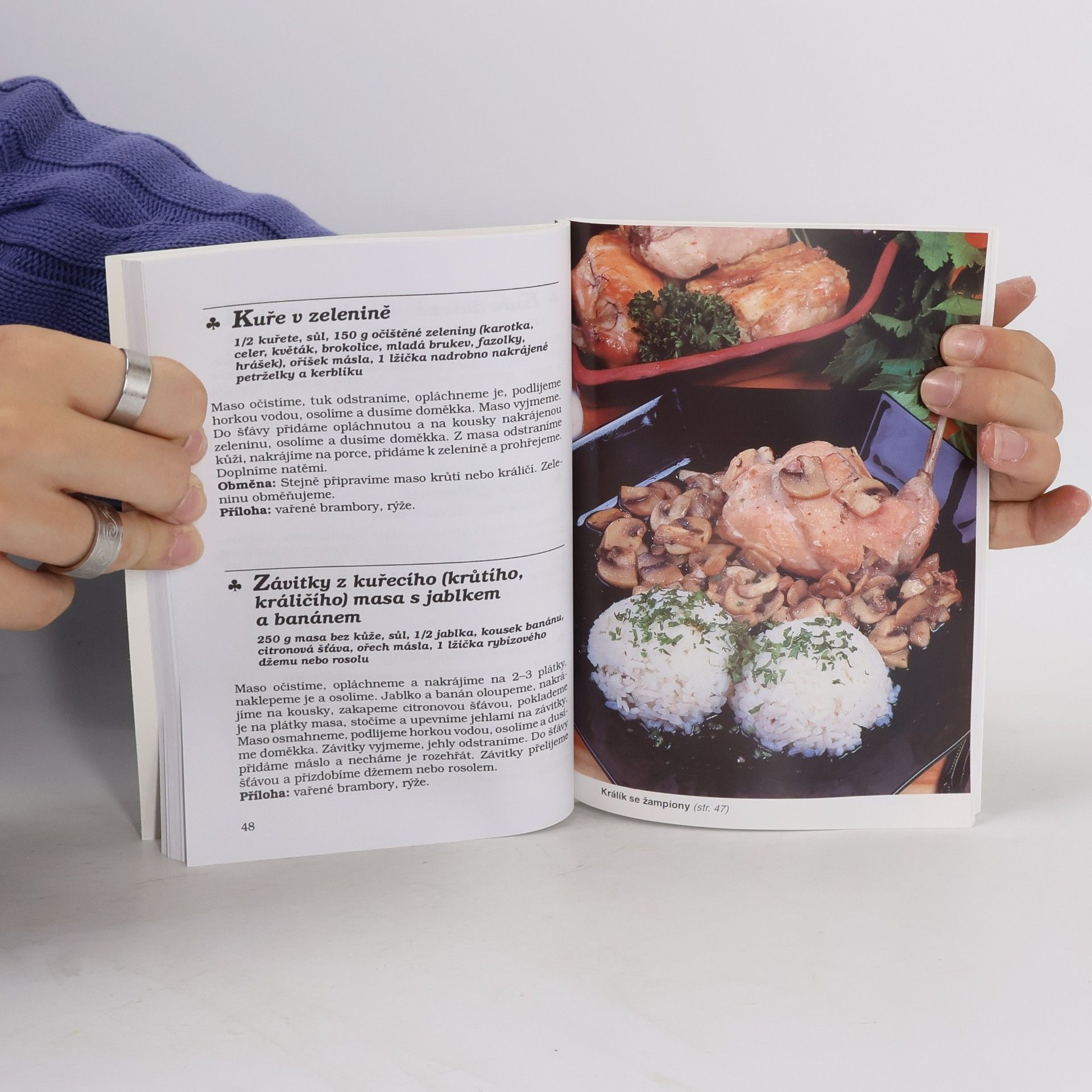 Lea Filipová Šetřící dieta. Při vleklých poruchách žlučníku, žaludku a slinivky břišní a lehkých formách poškození jater