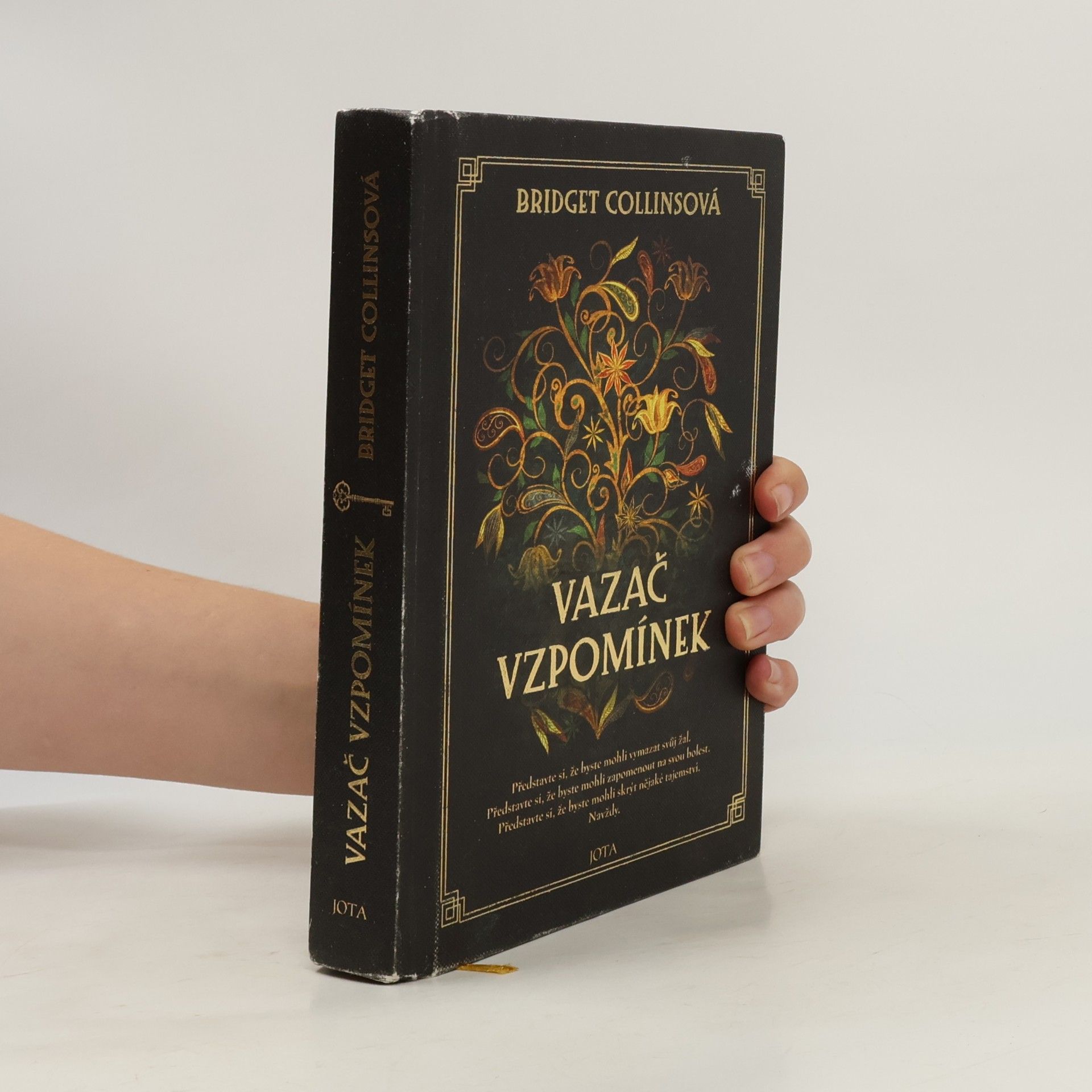 Bridget Collins Vazač vzpomínek