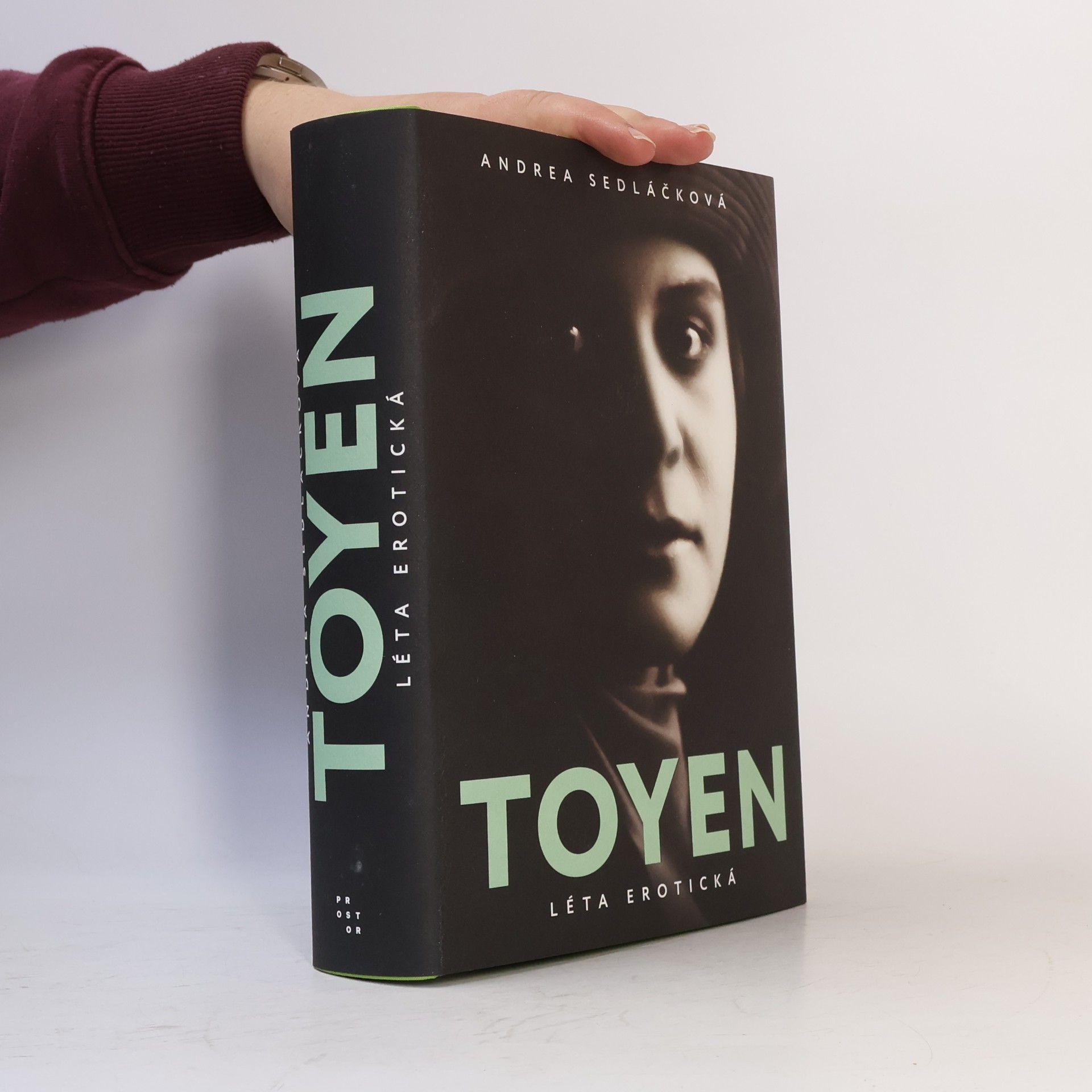 Andrea Sedláčková Toyen: Léta erotická