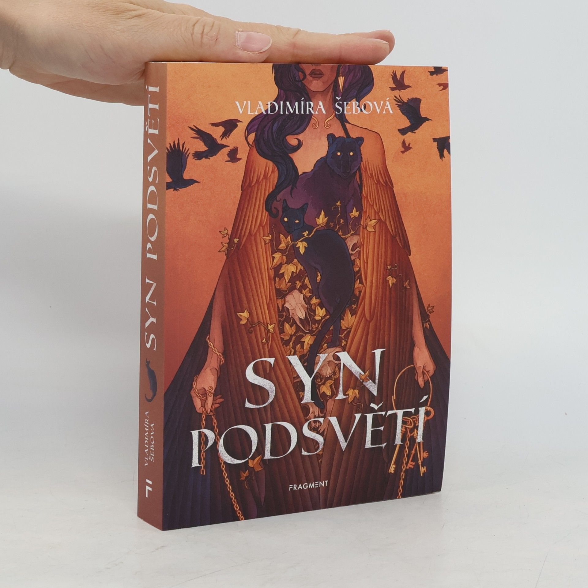 Vladimíra Šebová Syn podsvětí