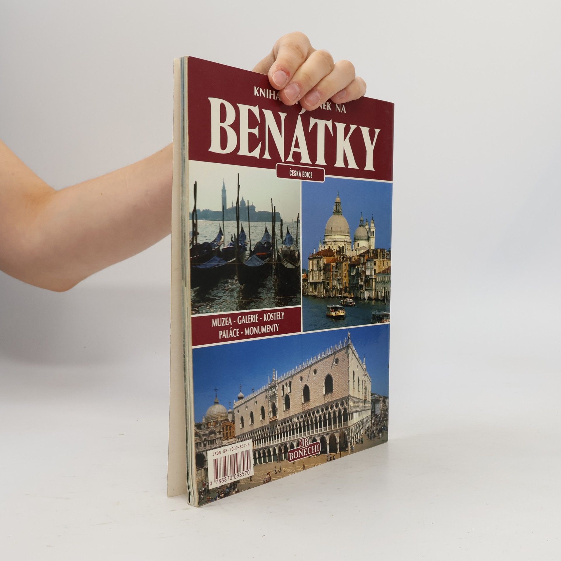 Františka Lopatová Senesi Kniha vzpomínek na Benátky
