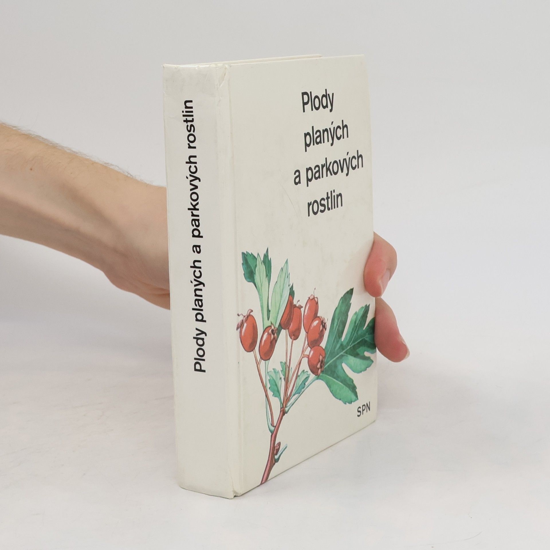 Alois Mikula Plody planých a parkových rostlin. Kapesní atlas