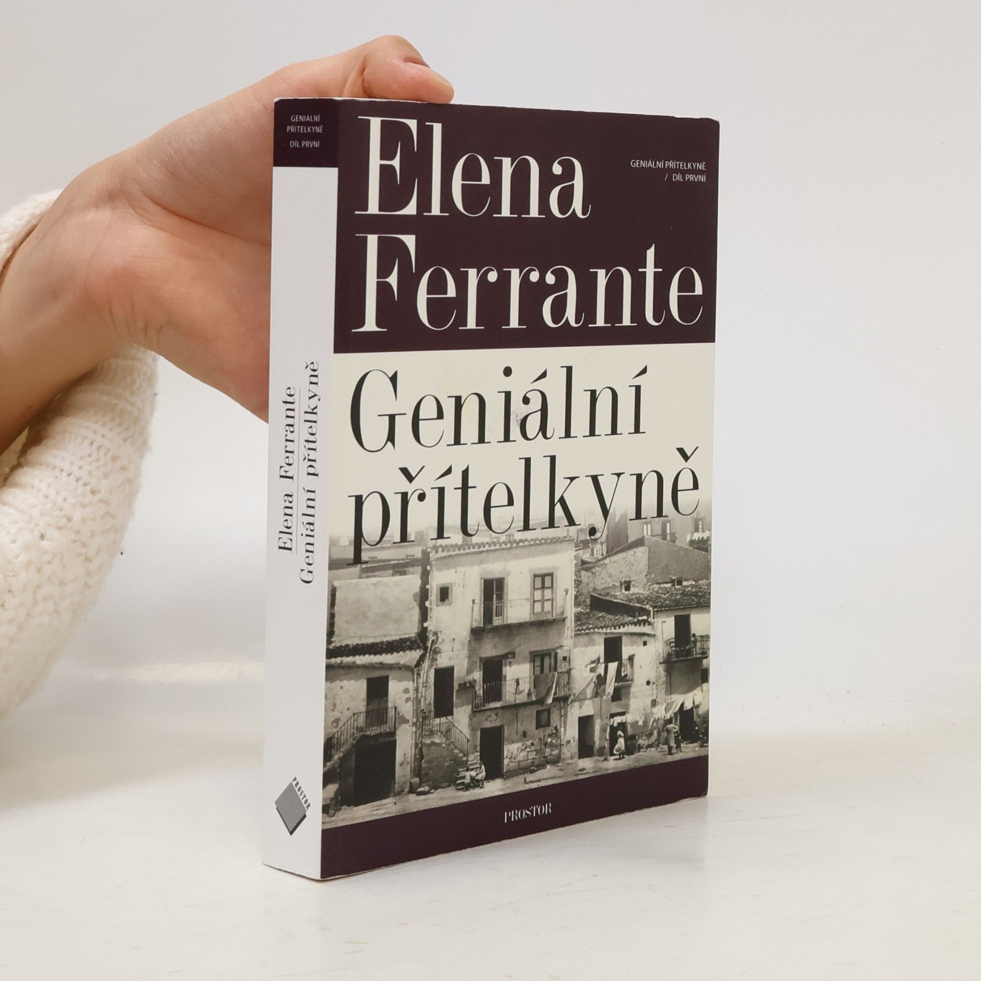 Elena Ferrante Geniální přítelkyně 1. Dětství a dospívání