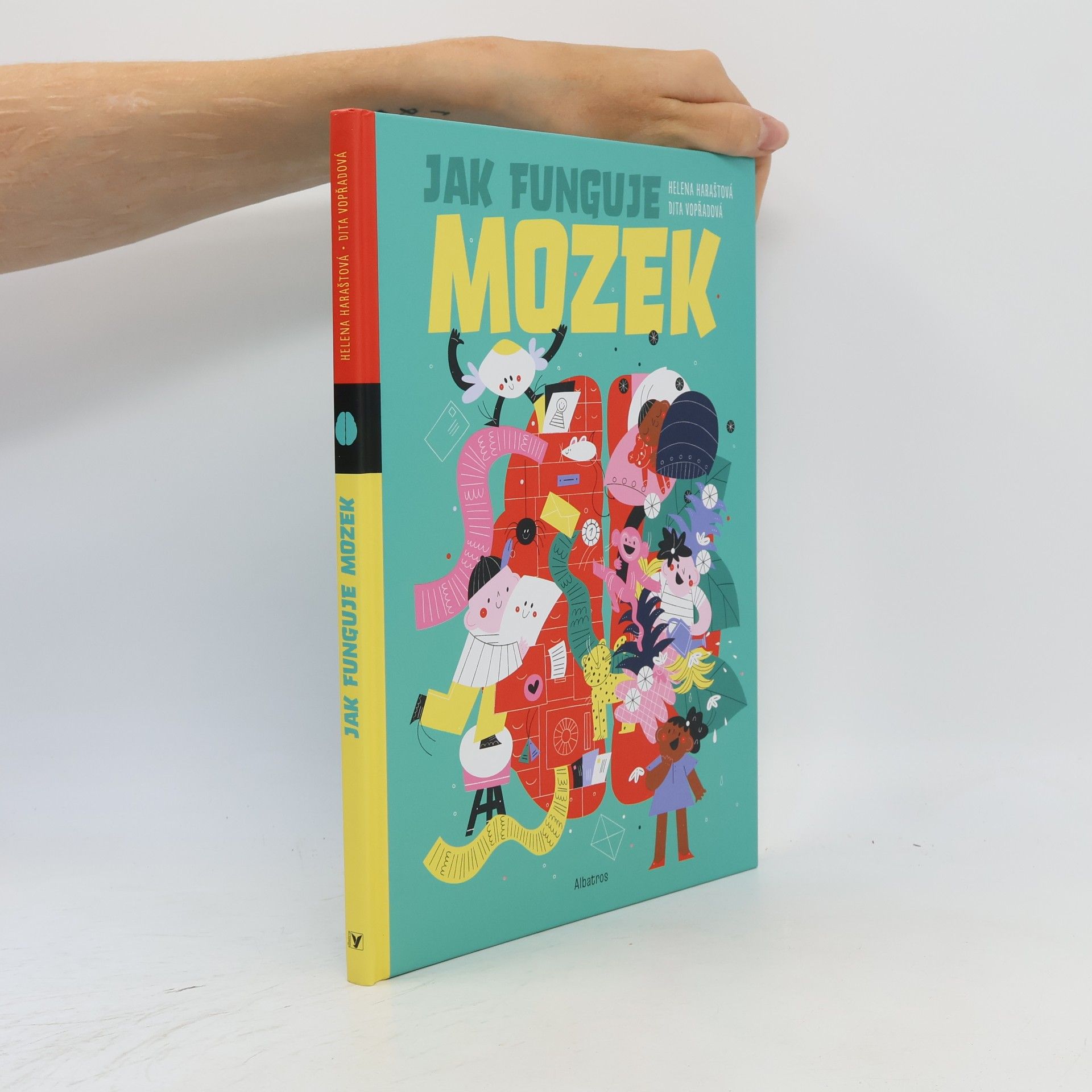 Jak funguje mozek