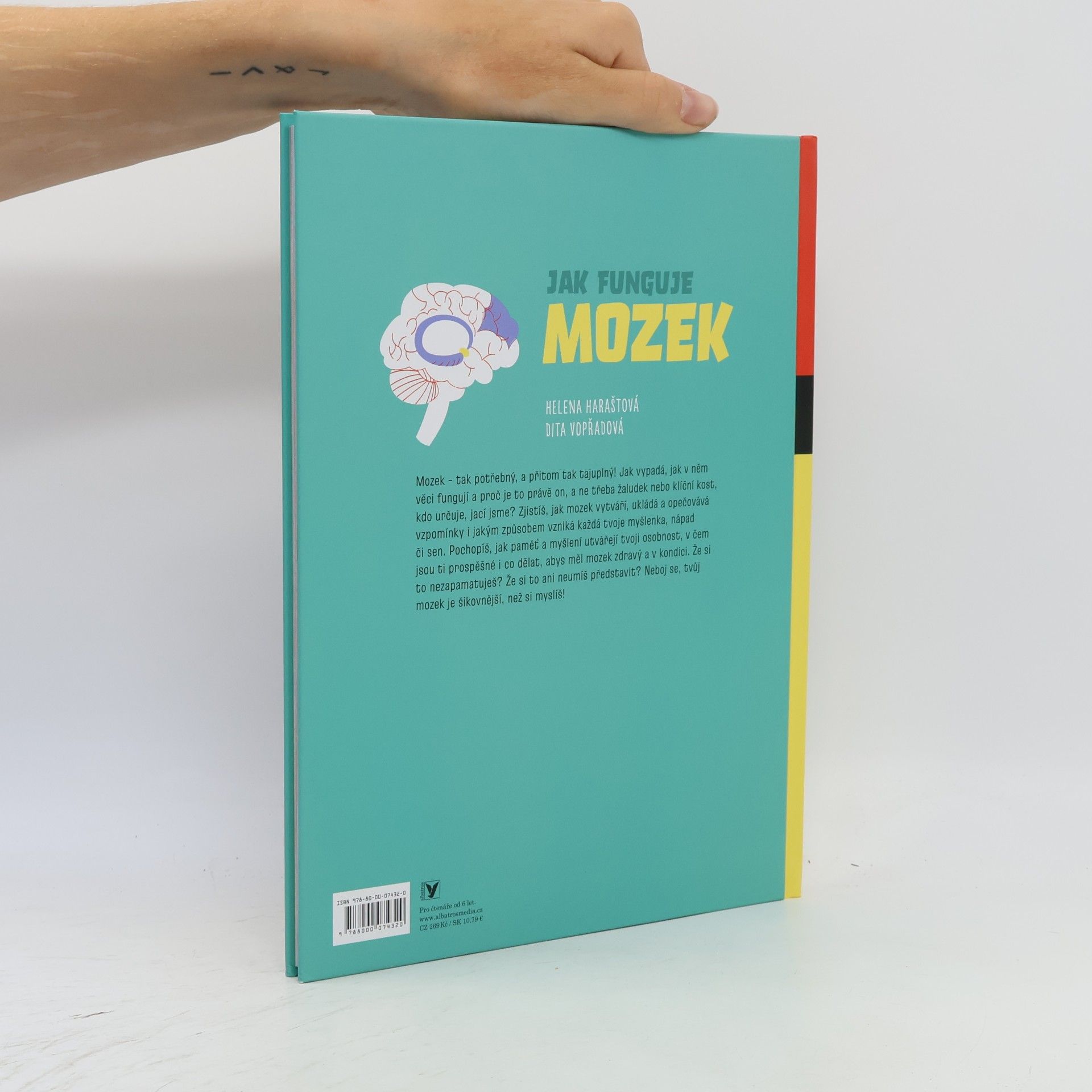 Helena Haraštová Jak funguje mozek