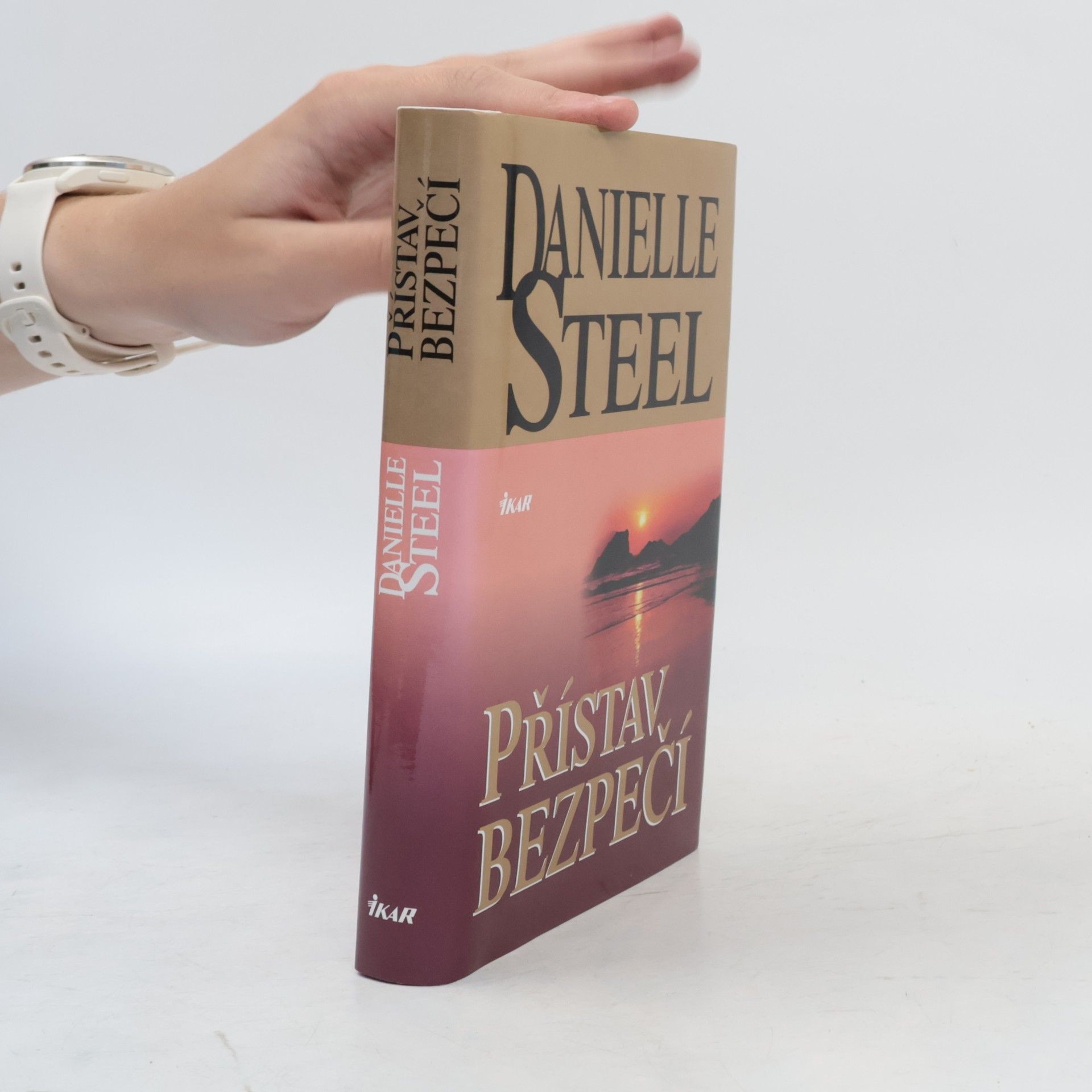 Danielle Steelová Přístav bezpečí
