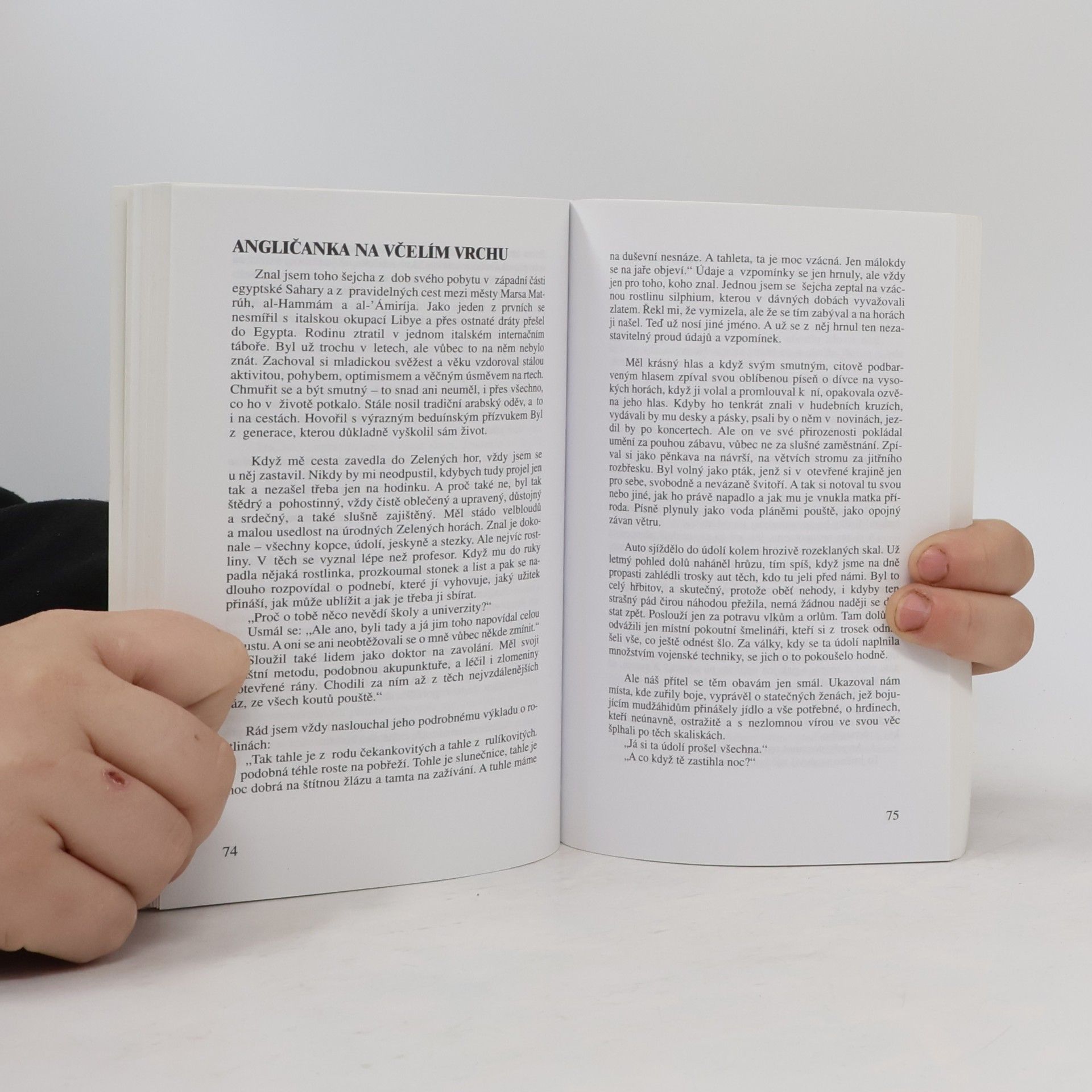 Jaromír Hajský Svátek na zemi. Moderní libyjské povídky
