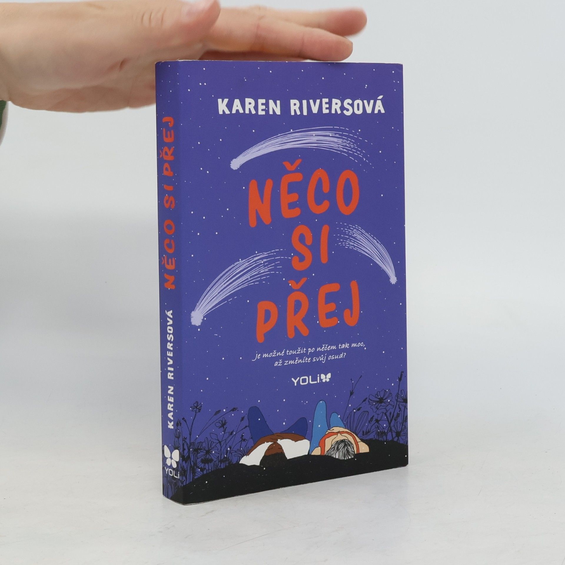 Karen Rivers Něco si přej