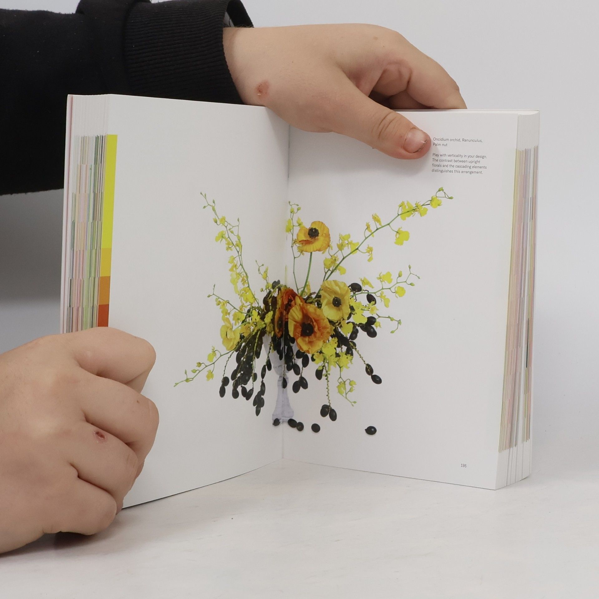 Michael Putnam Flower Colour Theory