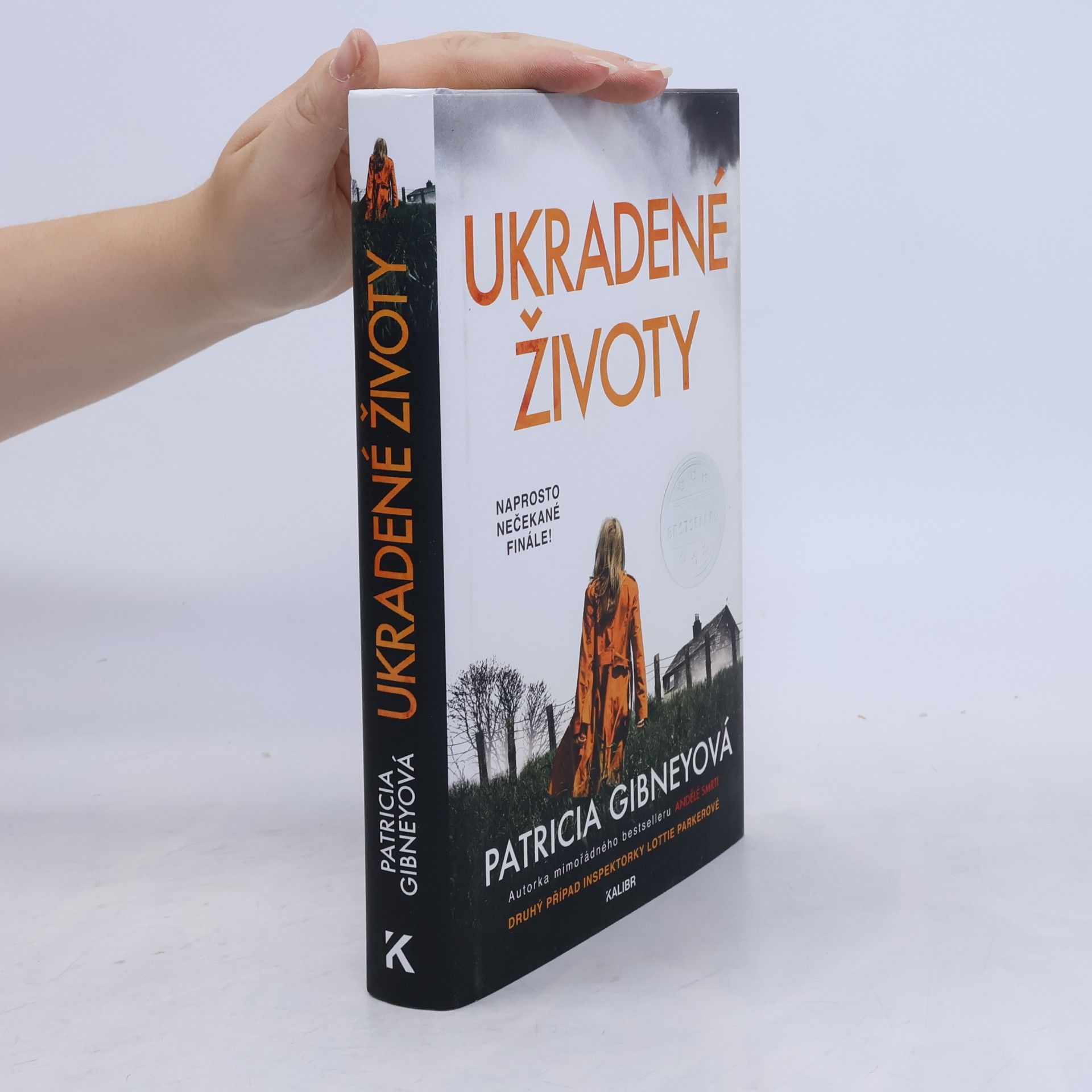 Patricia Gibney Ukradené životy