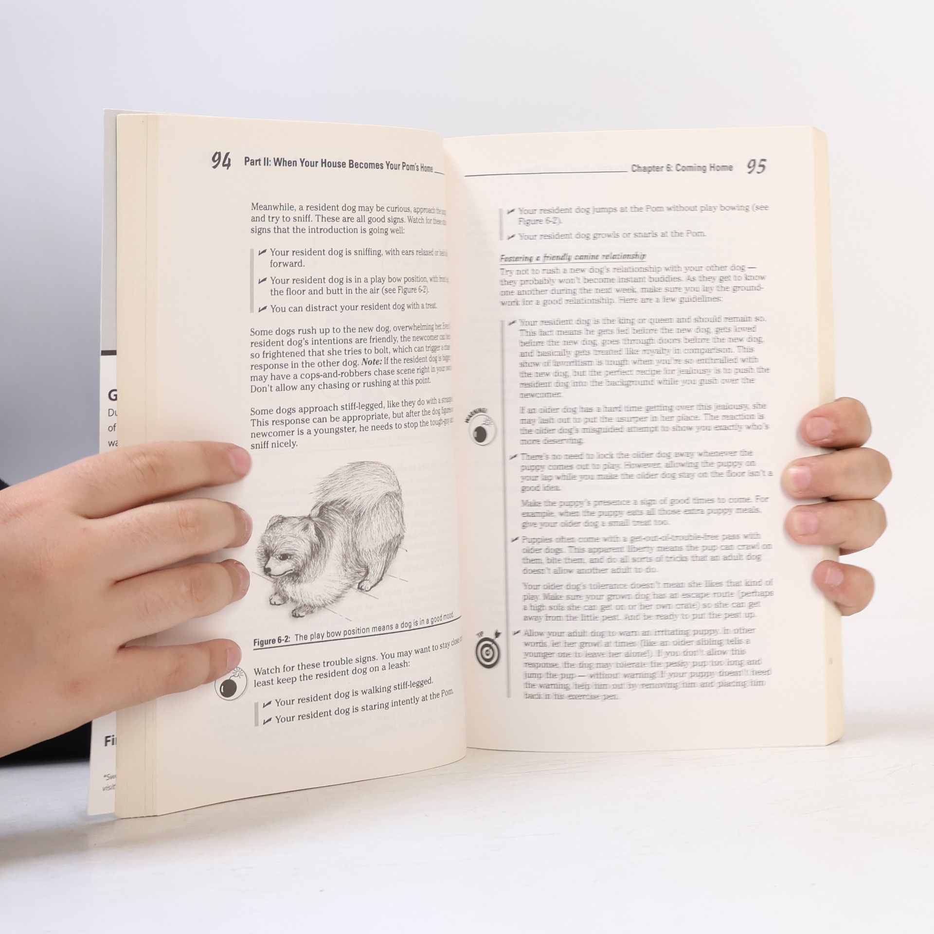 D. Caroline Coile Pomeranians For Dummies