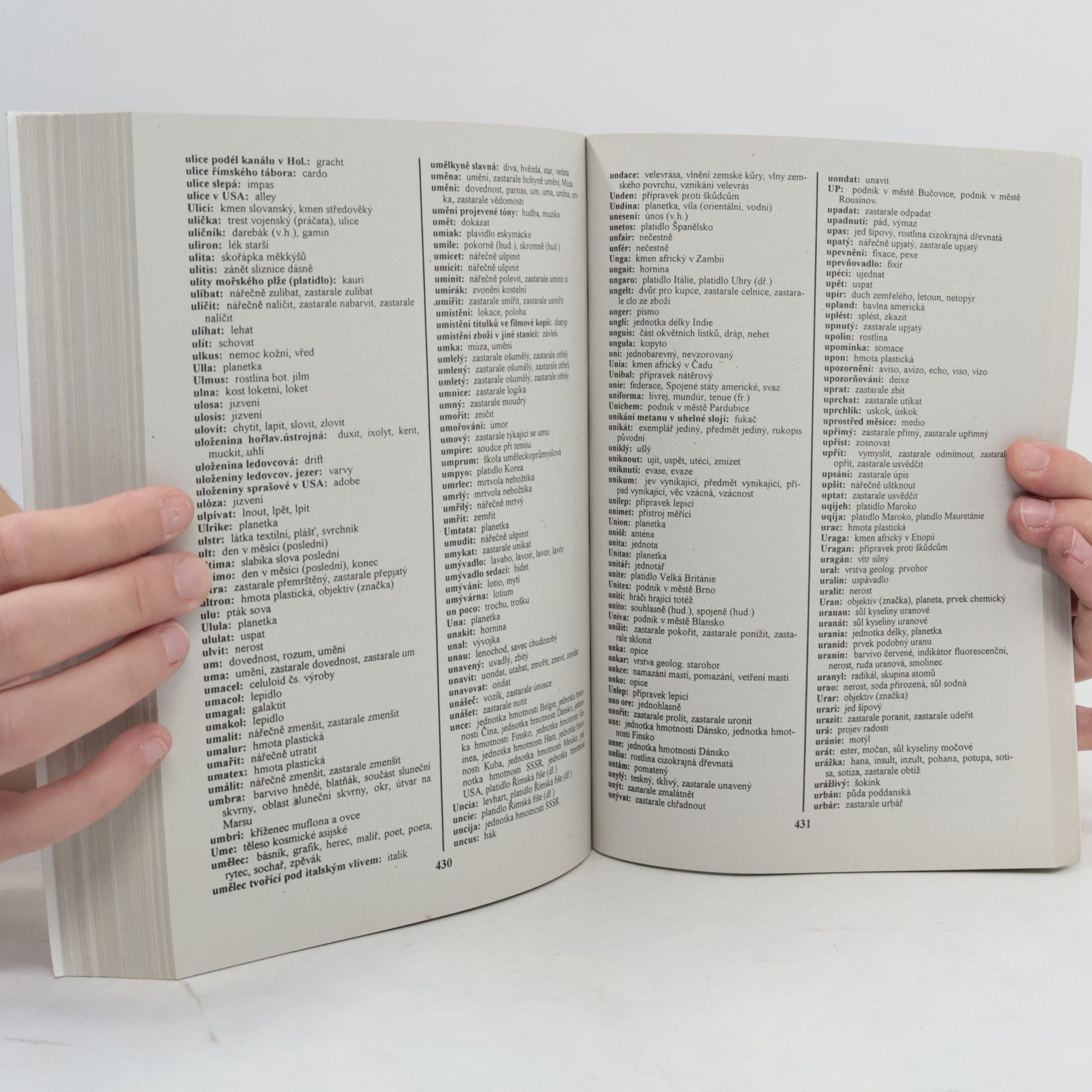 Autorenkollektiv Křížovkářský slovník
