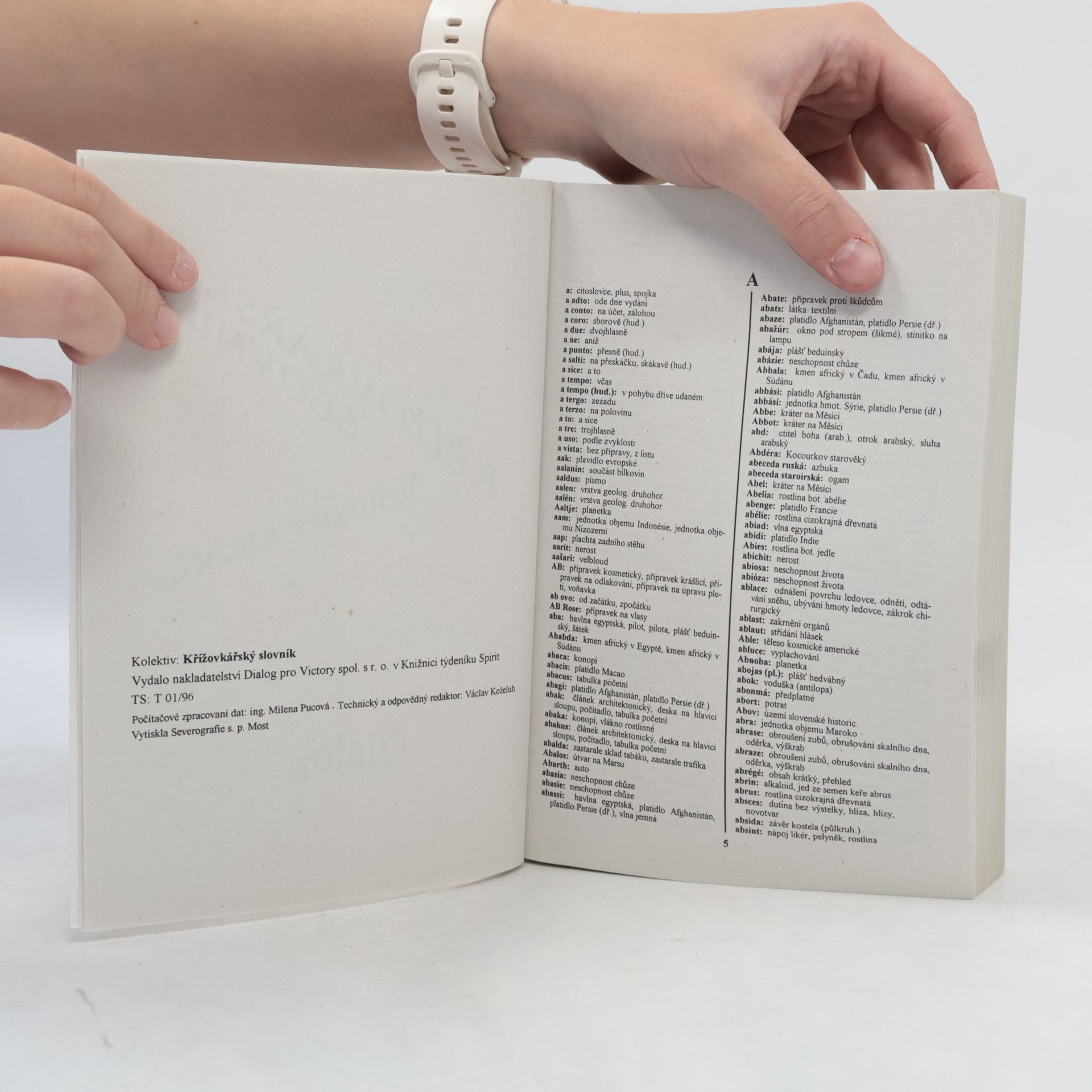 Autorenkollektiv Křížovkářský slovník