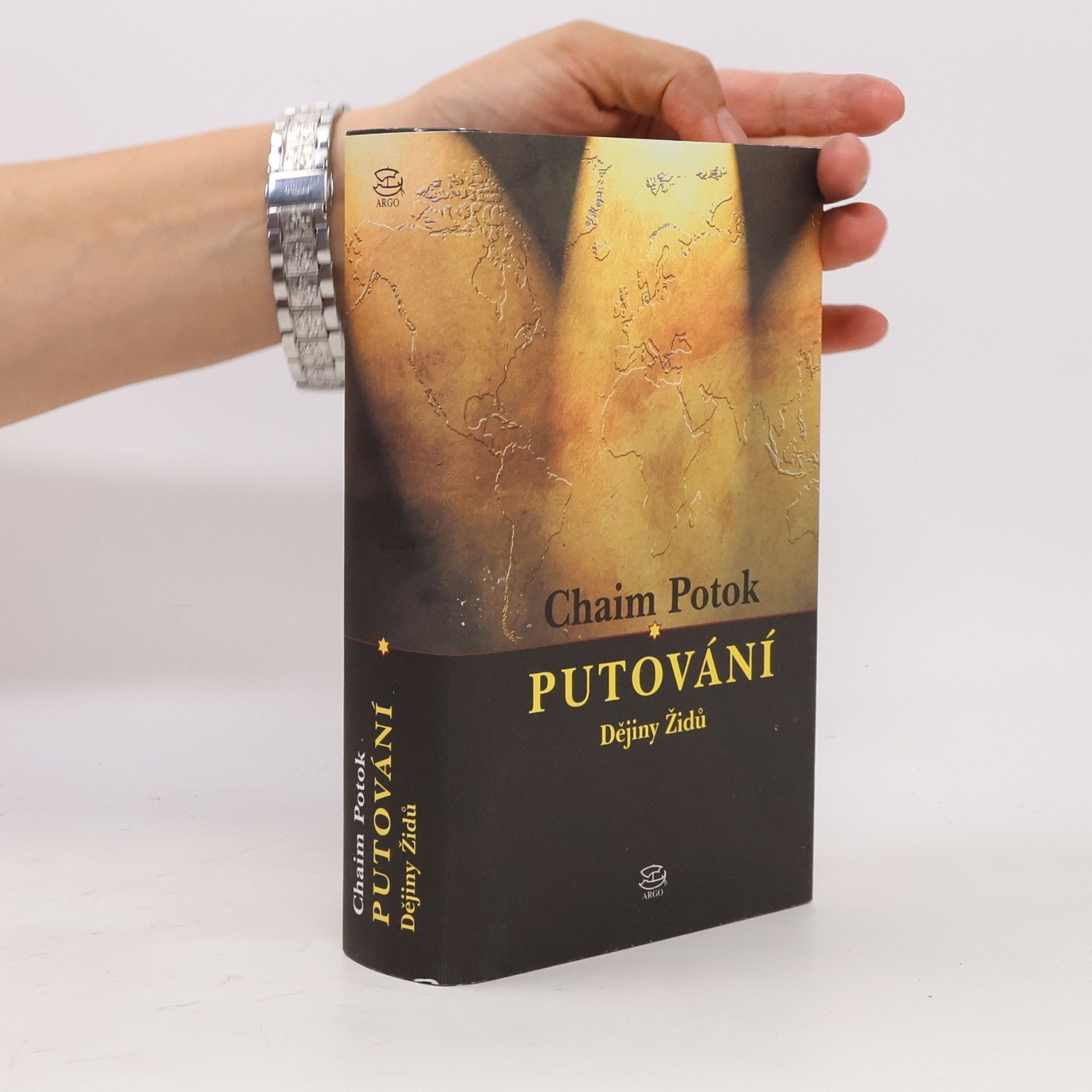 Chaim Potok Putování : dějiny Židů
