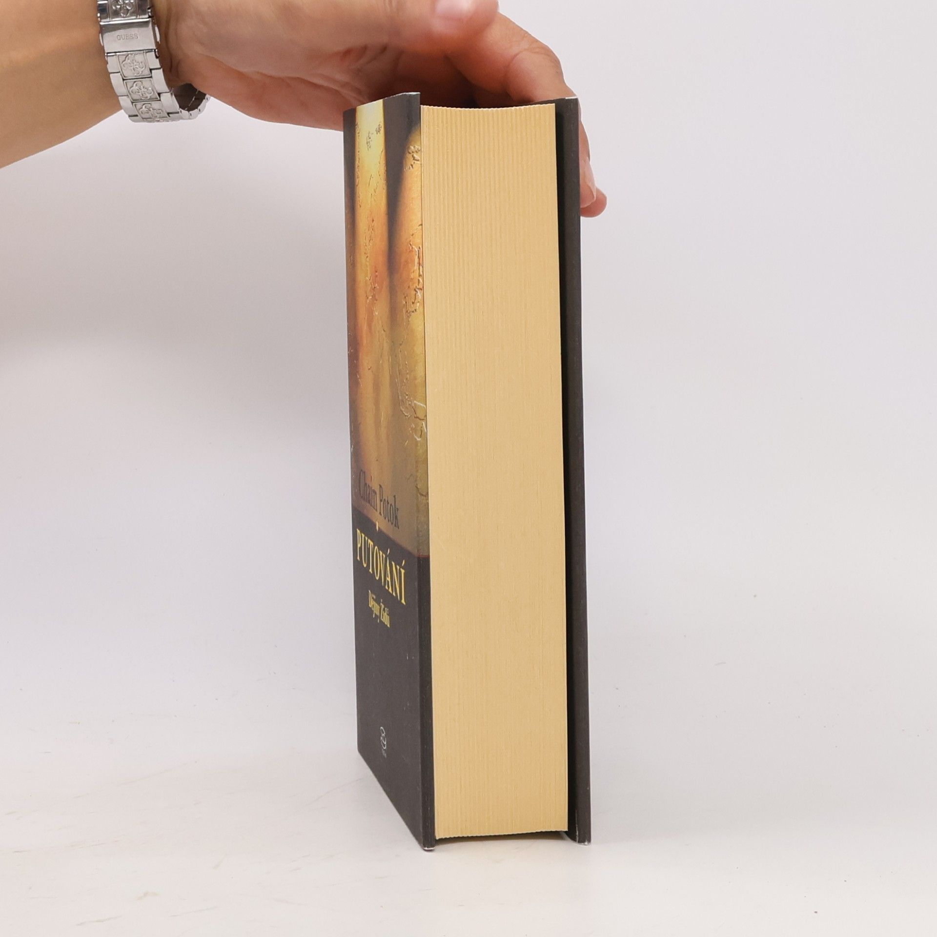 Chaim Potok Putování : dějiny Židů
