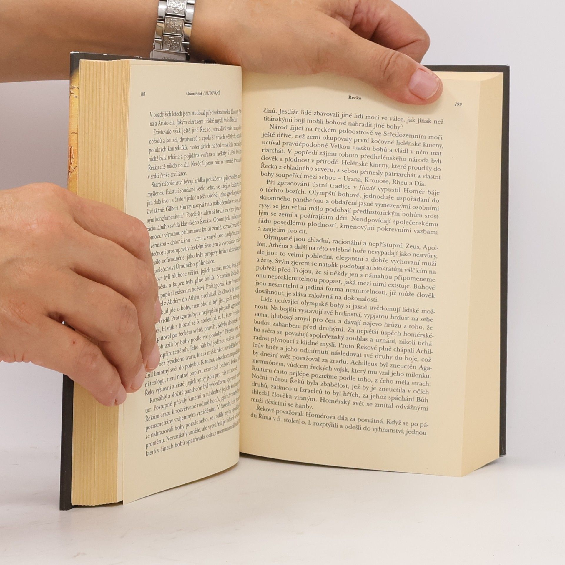 Chaim Potok Putování : dějiny Židů