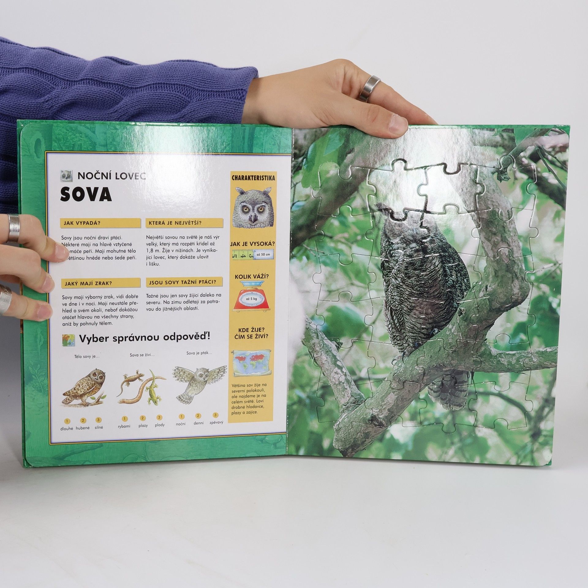 Auteurscollectief Zvířátka v lese: Knížka s puzzle