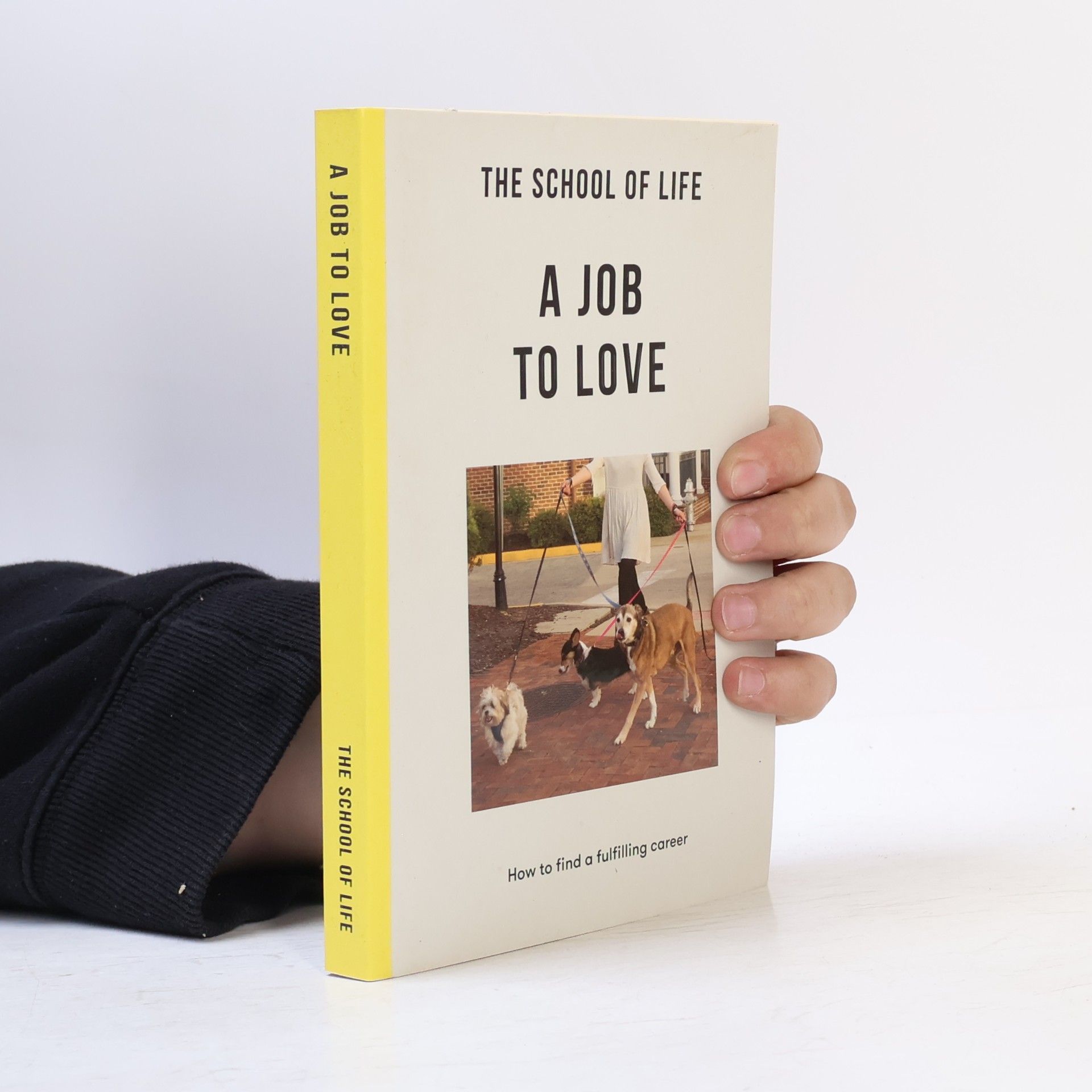 The School The School of Life The School of Life: A Job to Love