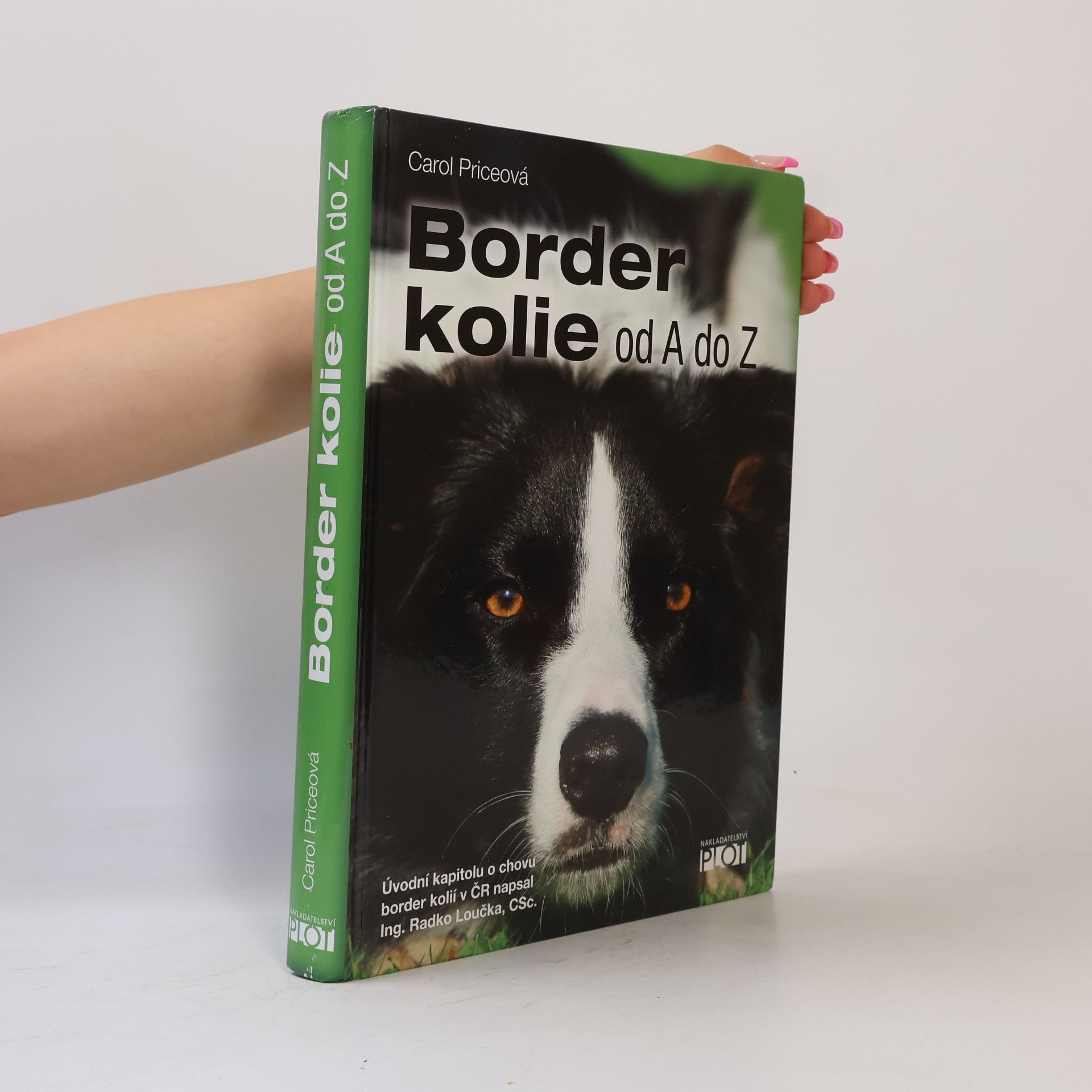 Carol Price Border kolie od A do Z