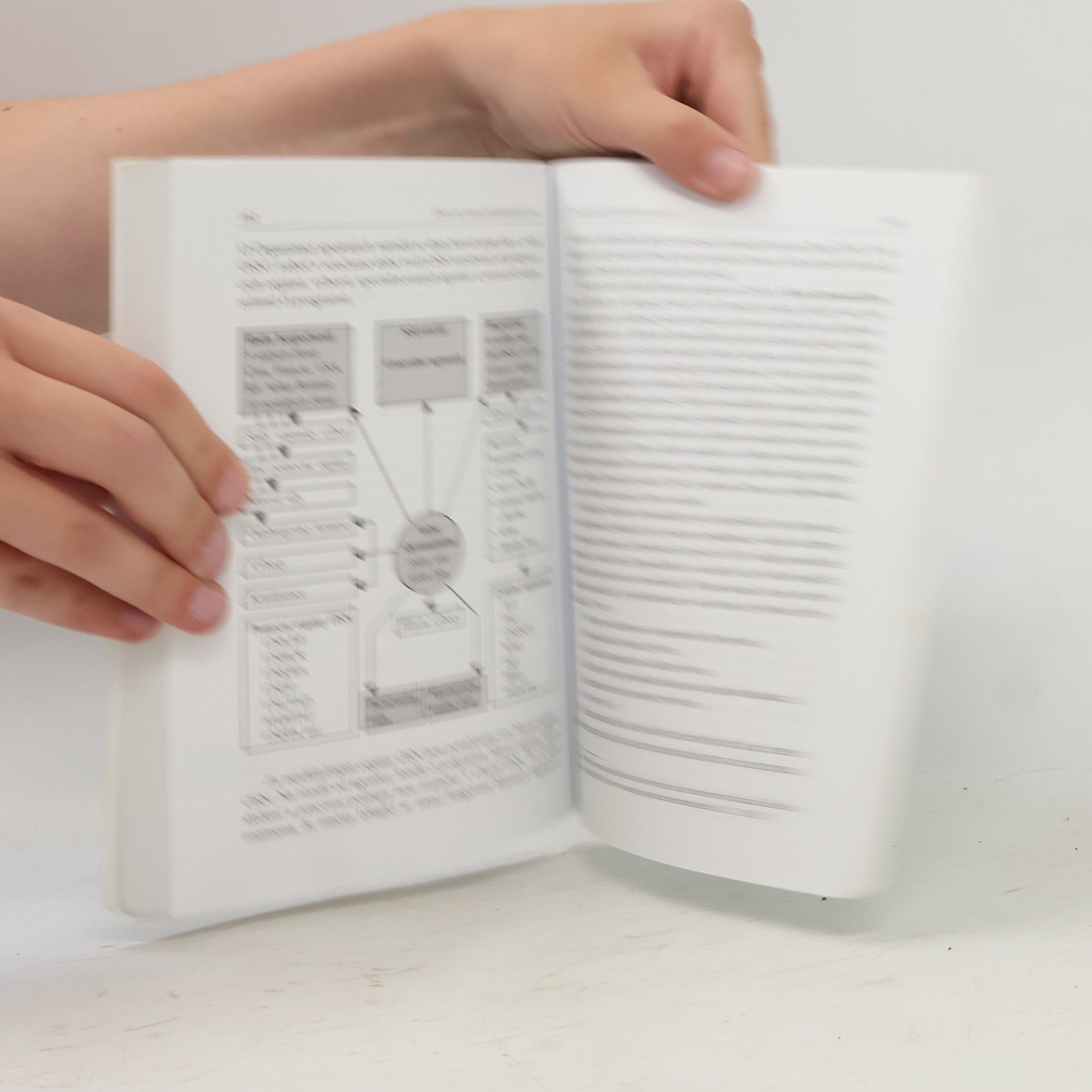 Šárka Waisová Úvod do studia mezinárodních vztahů