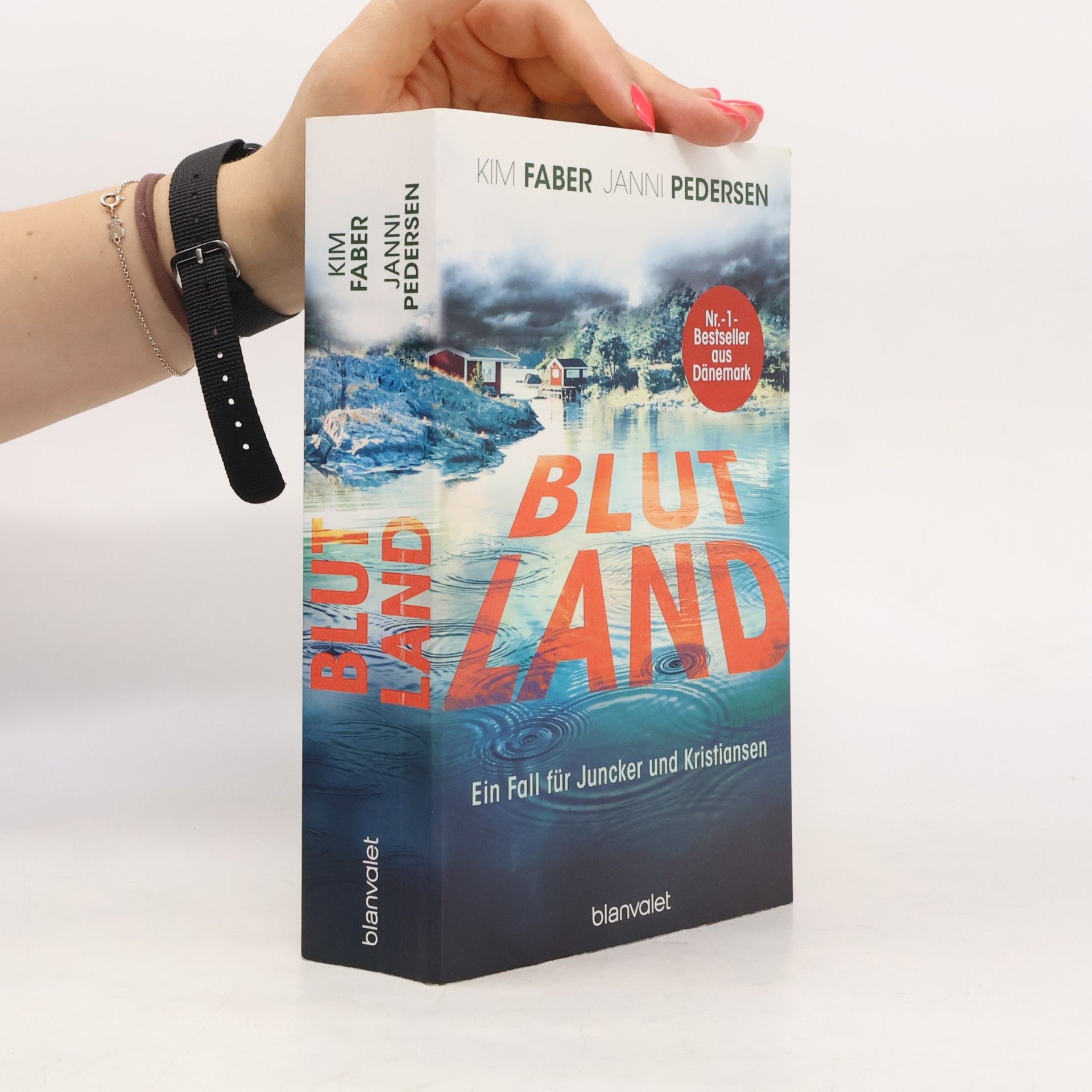 Kim Faber Blutland