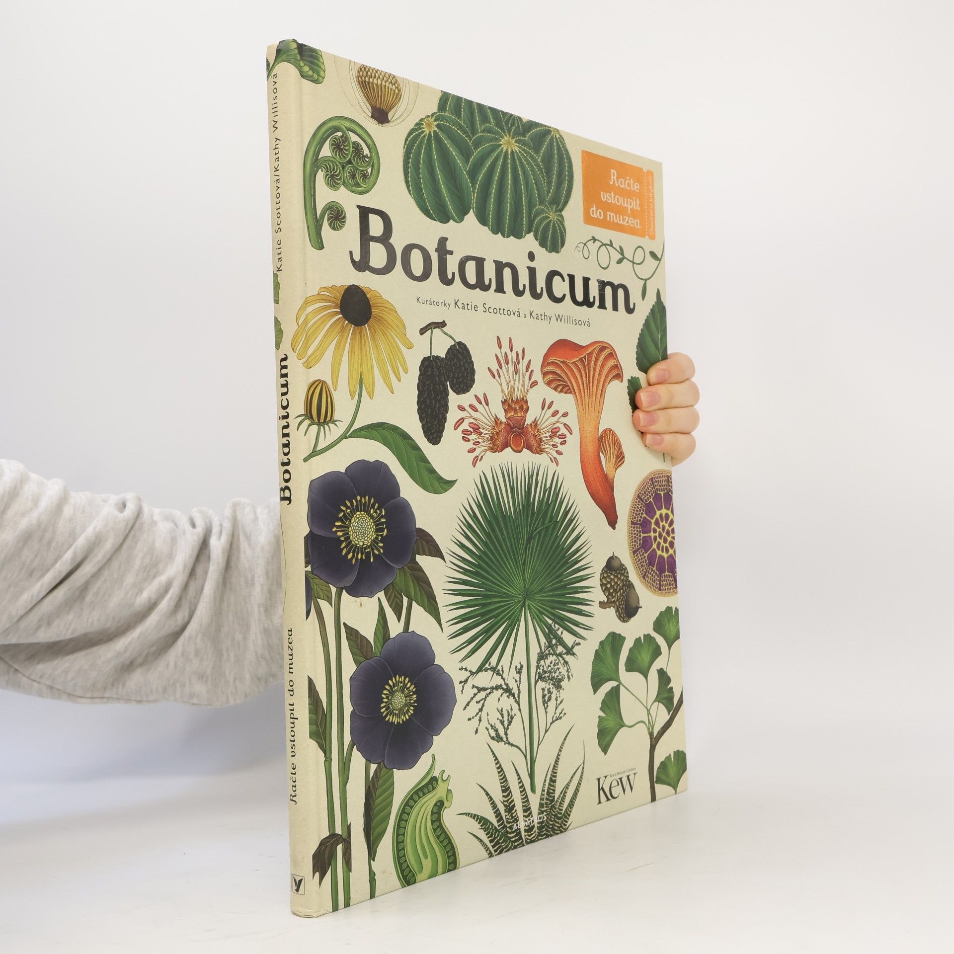 Kathy Willis Botanicum