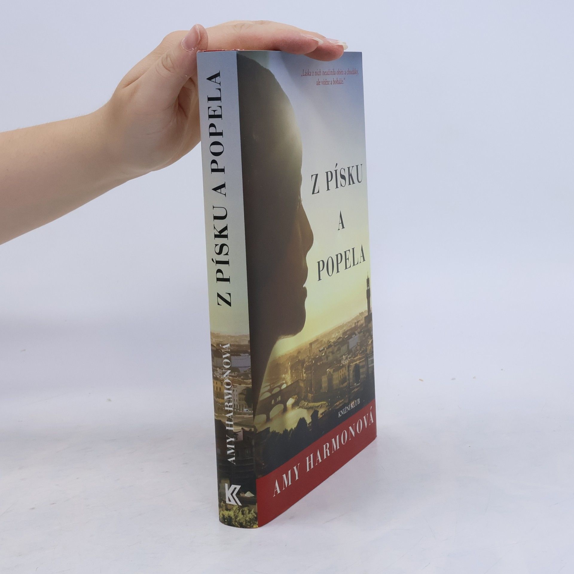 Amy Harmon Z písku a popela
