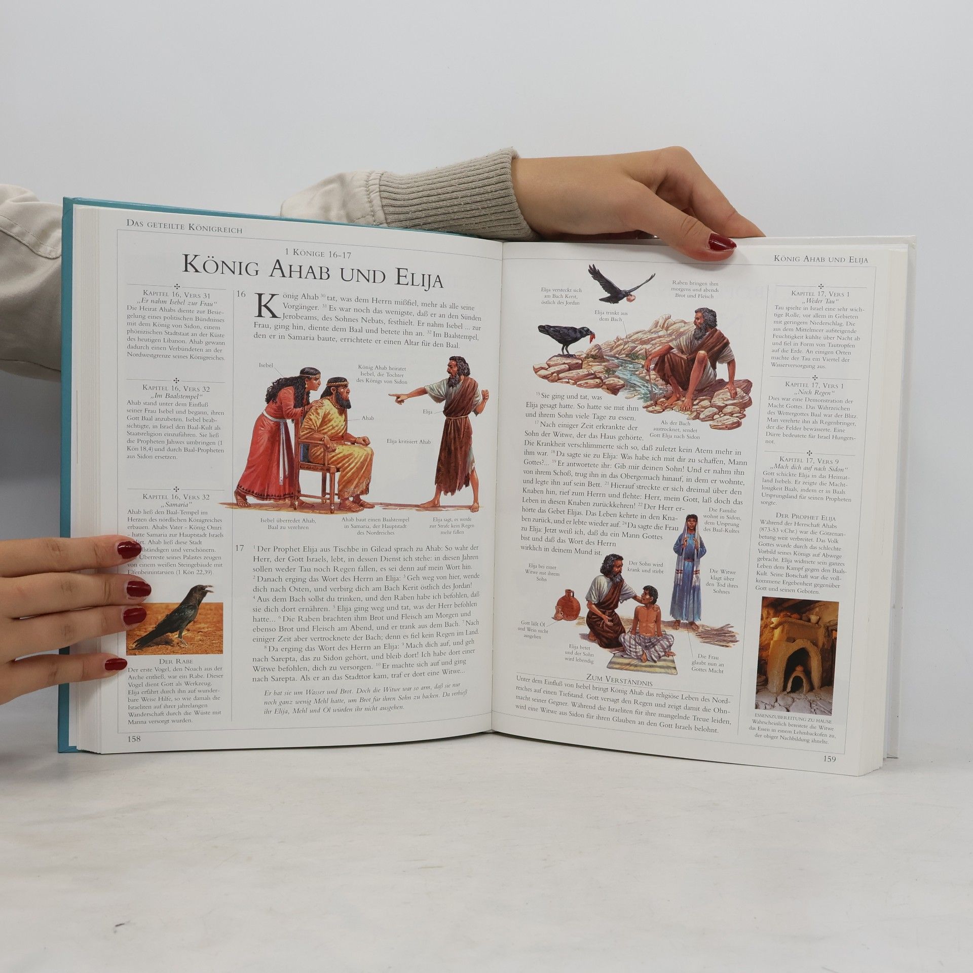 Claude Bernard Costecalde Die große illustrierte Kinderbibel