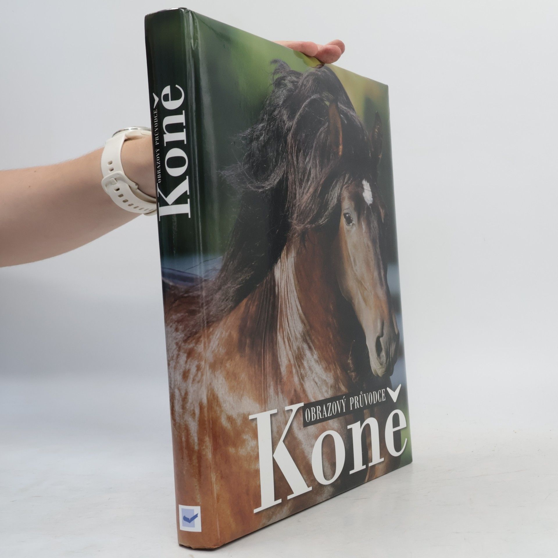 Kolektiv autorů Koně. Obrazový průvodce