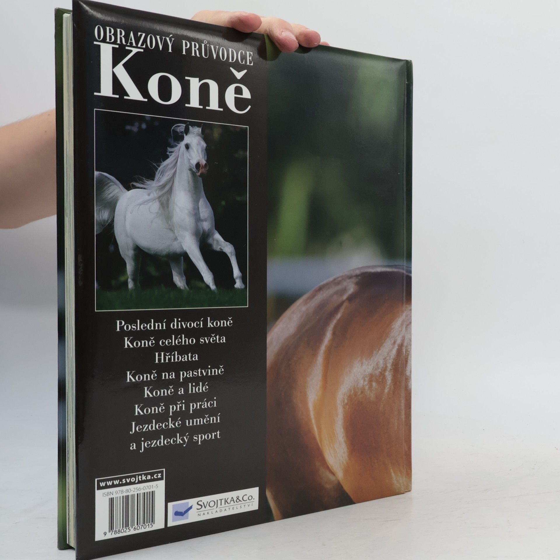 Collectif d'auteurs Koně. Obrazový průvodce