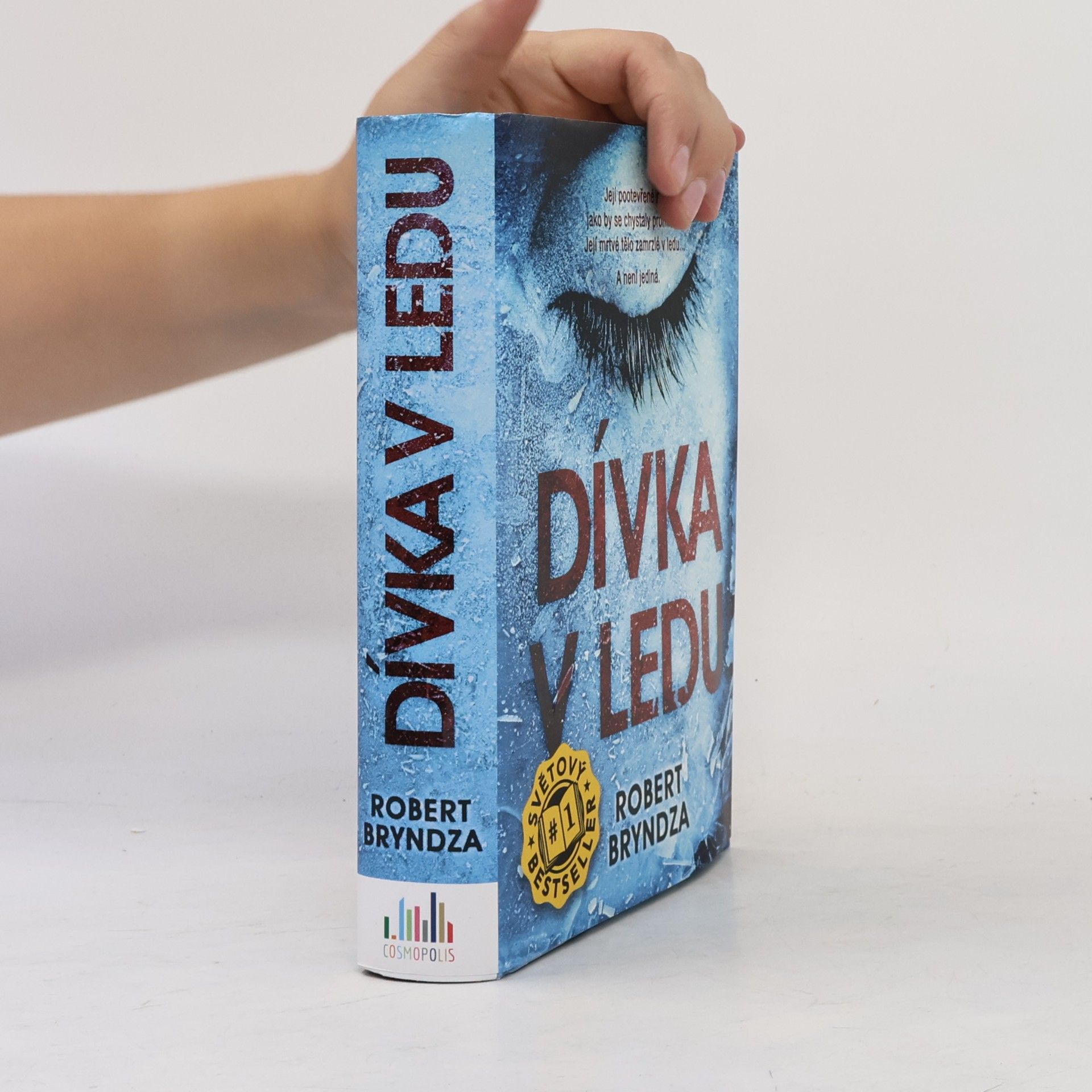 Robert Bryndza Dívka v ledu
