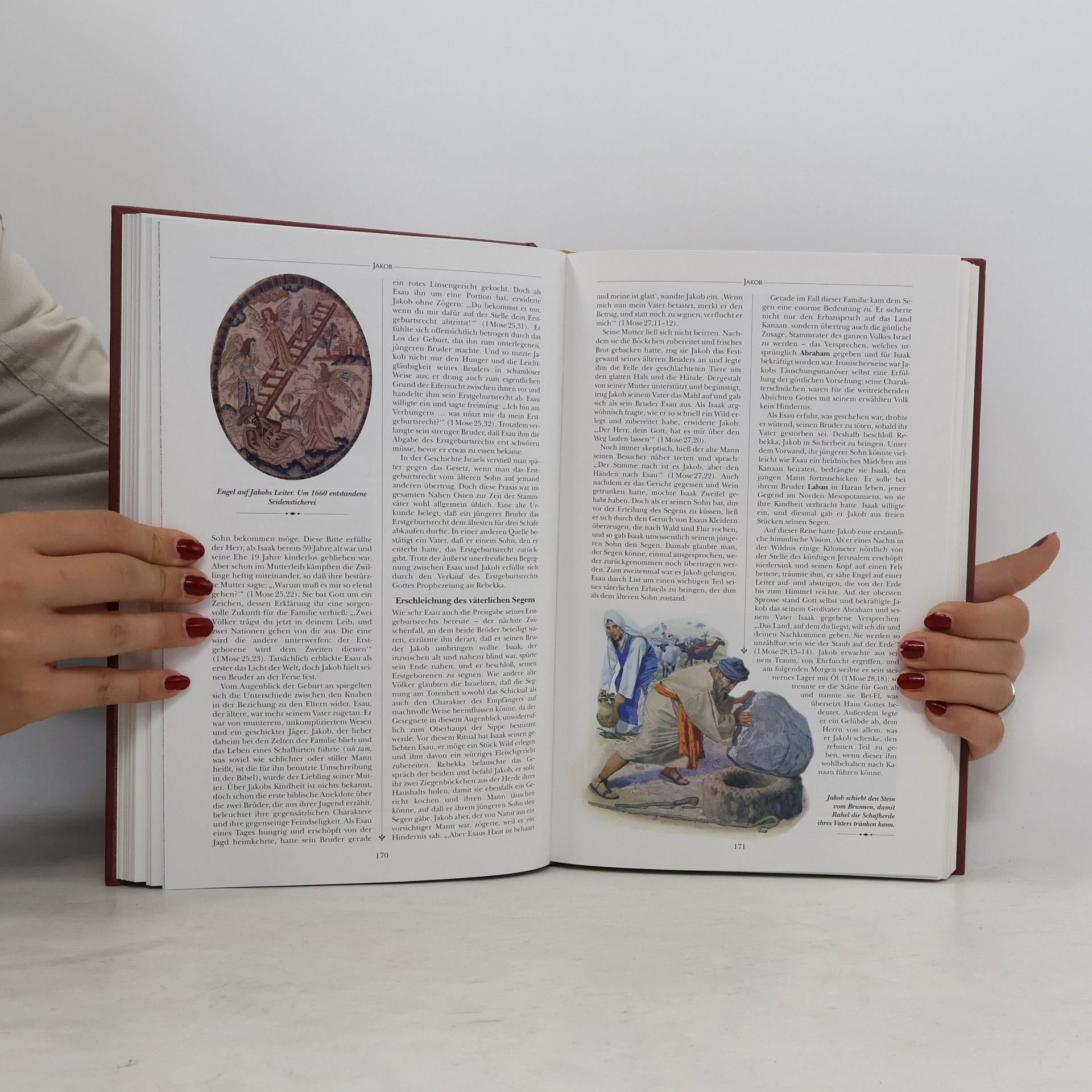 Charles Flowers Die Menschen der Bibel. Ein illustriertes Lexikon der Heiligen Schrift