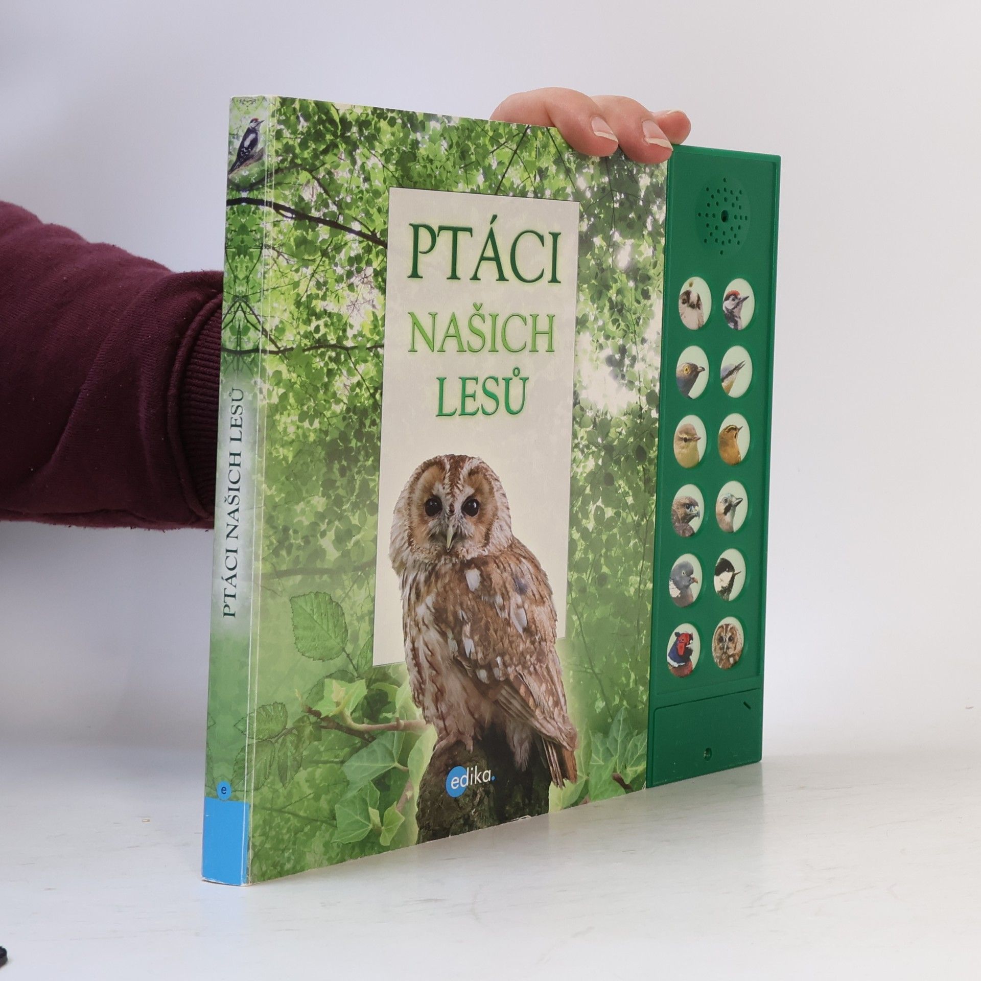 Andrea Pinnington Ptáci našich lesů