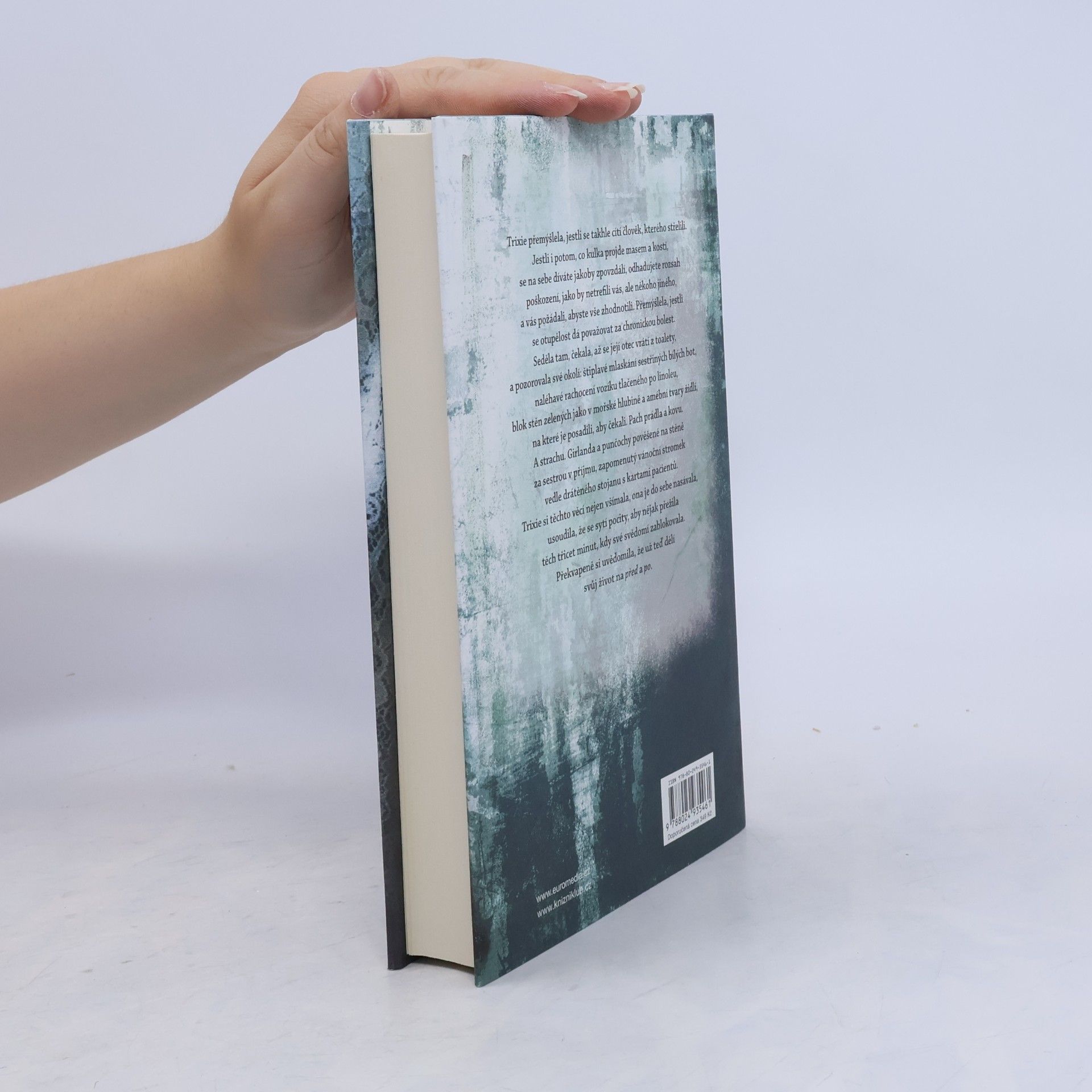 Jodi Picoult Desátý kruh