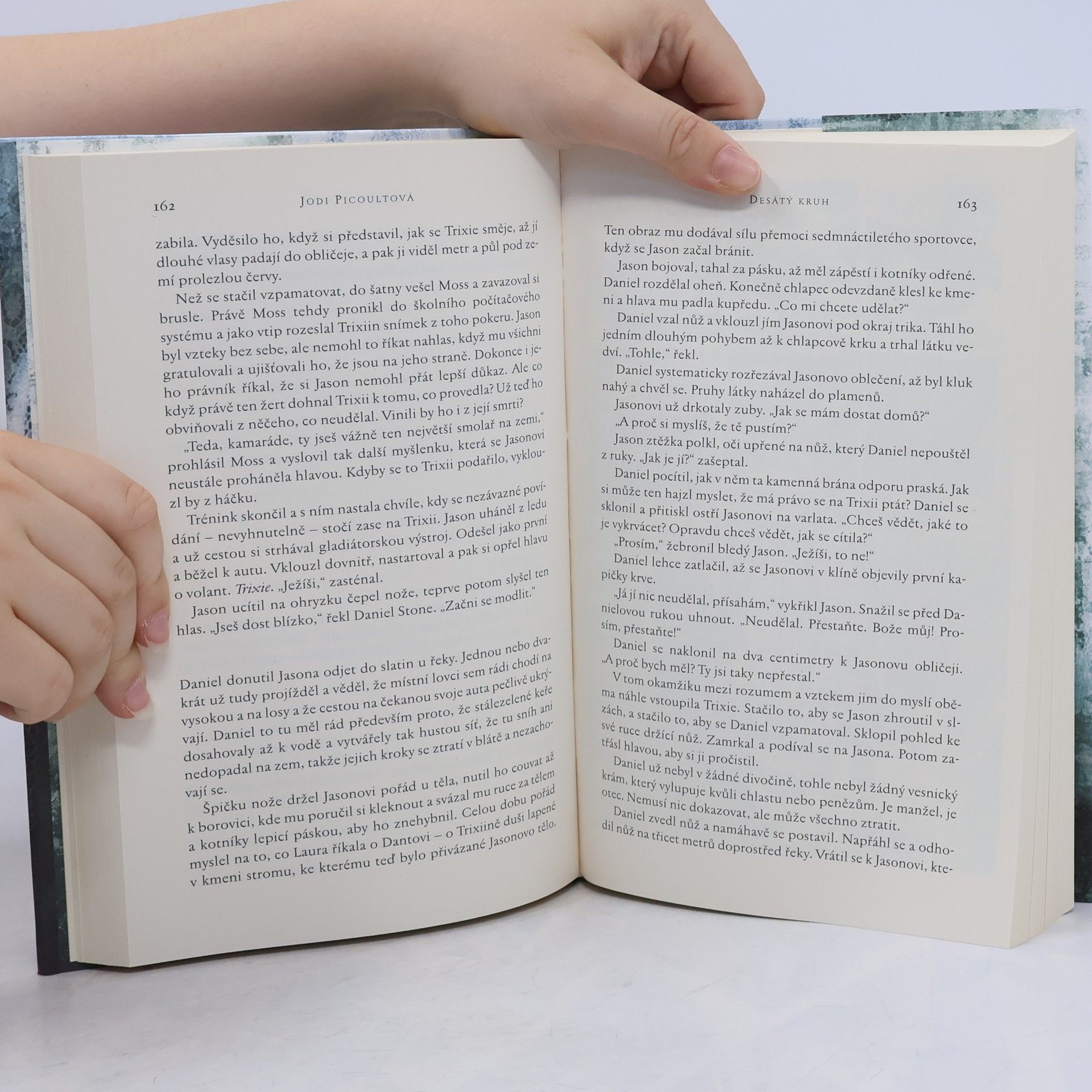 Jodi Picoult Desátý kruh
