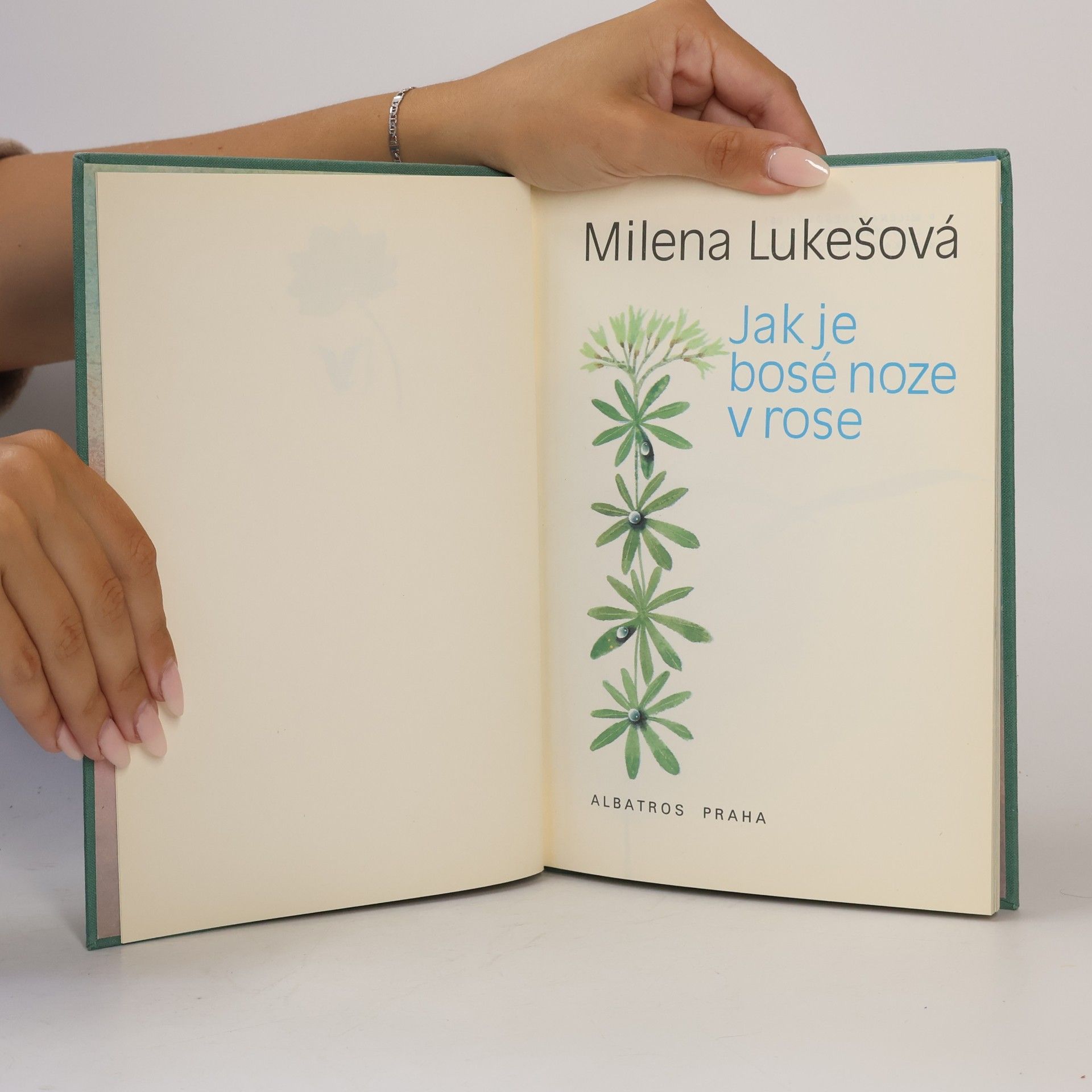 Milena Lukešová Jak je bosé noze v rose