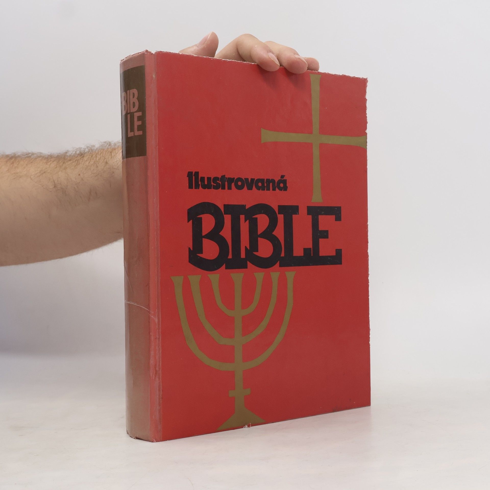 Kolektiv autorů Ilustrovaná Bible