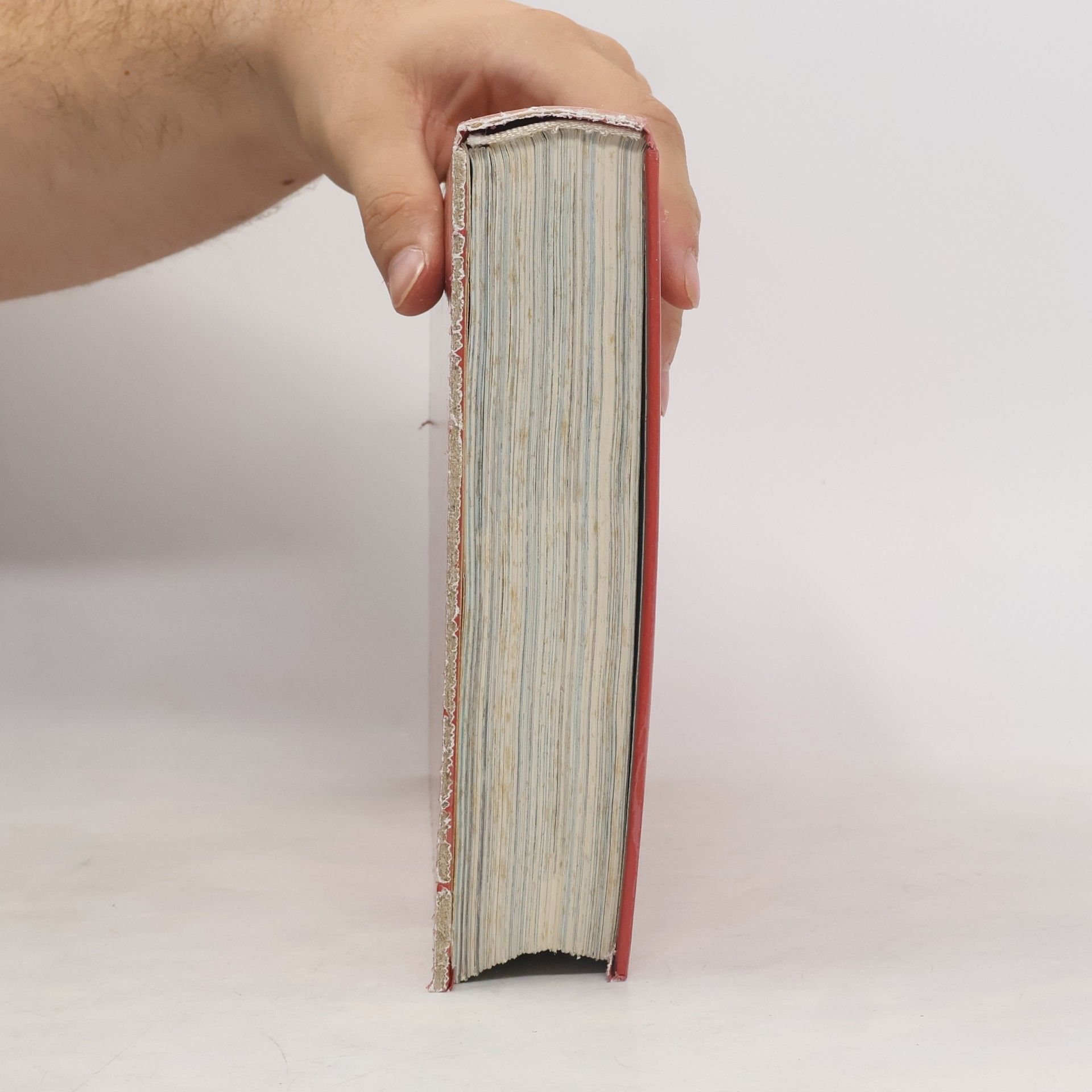 Kolektiv autorů Ilustrovaná Bible