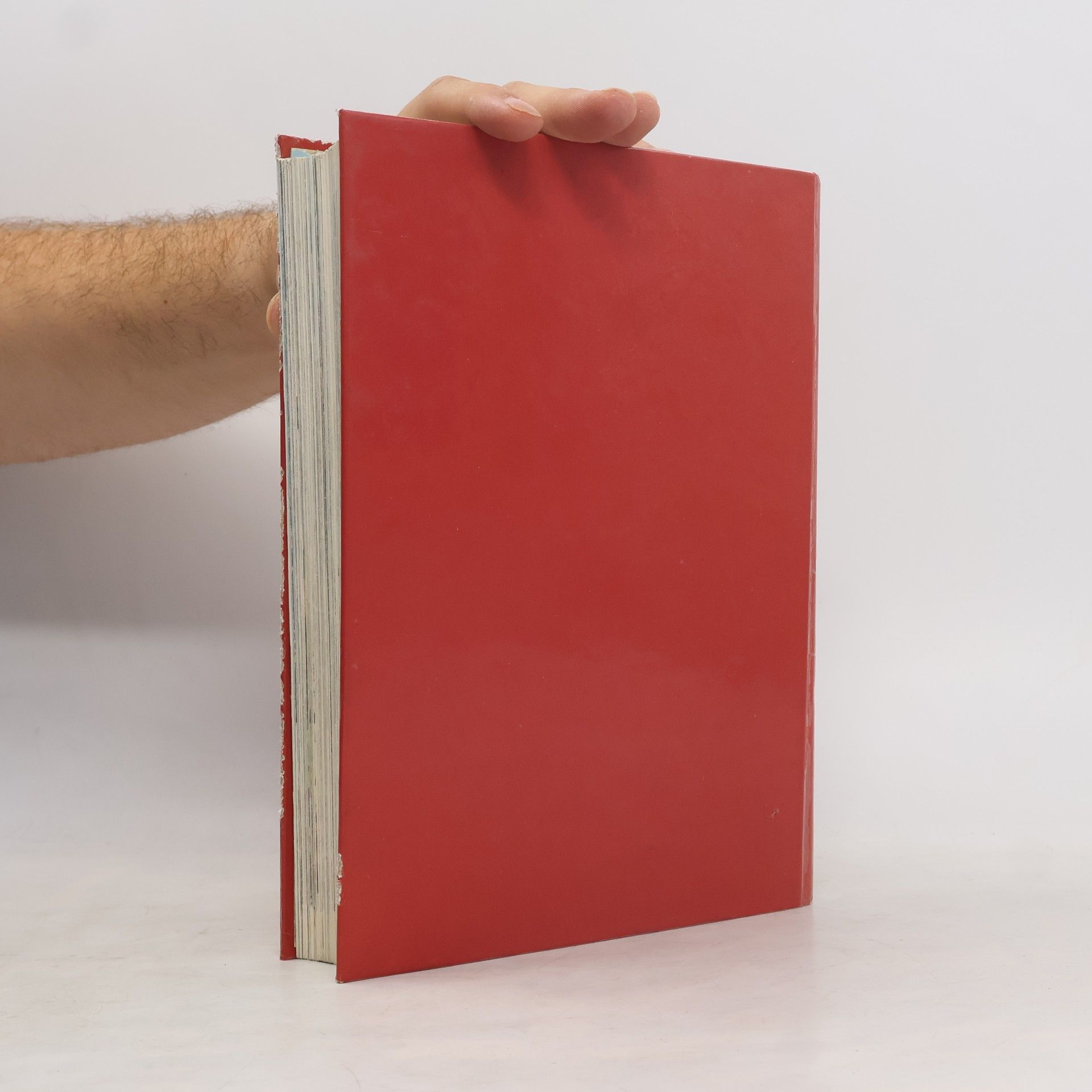 Kolektiv autorů Ilustrovaná Bible