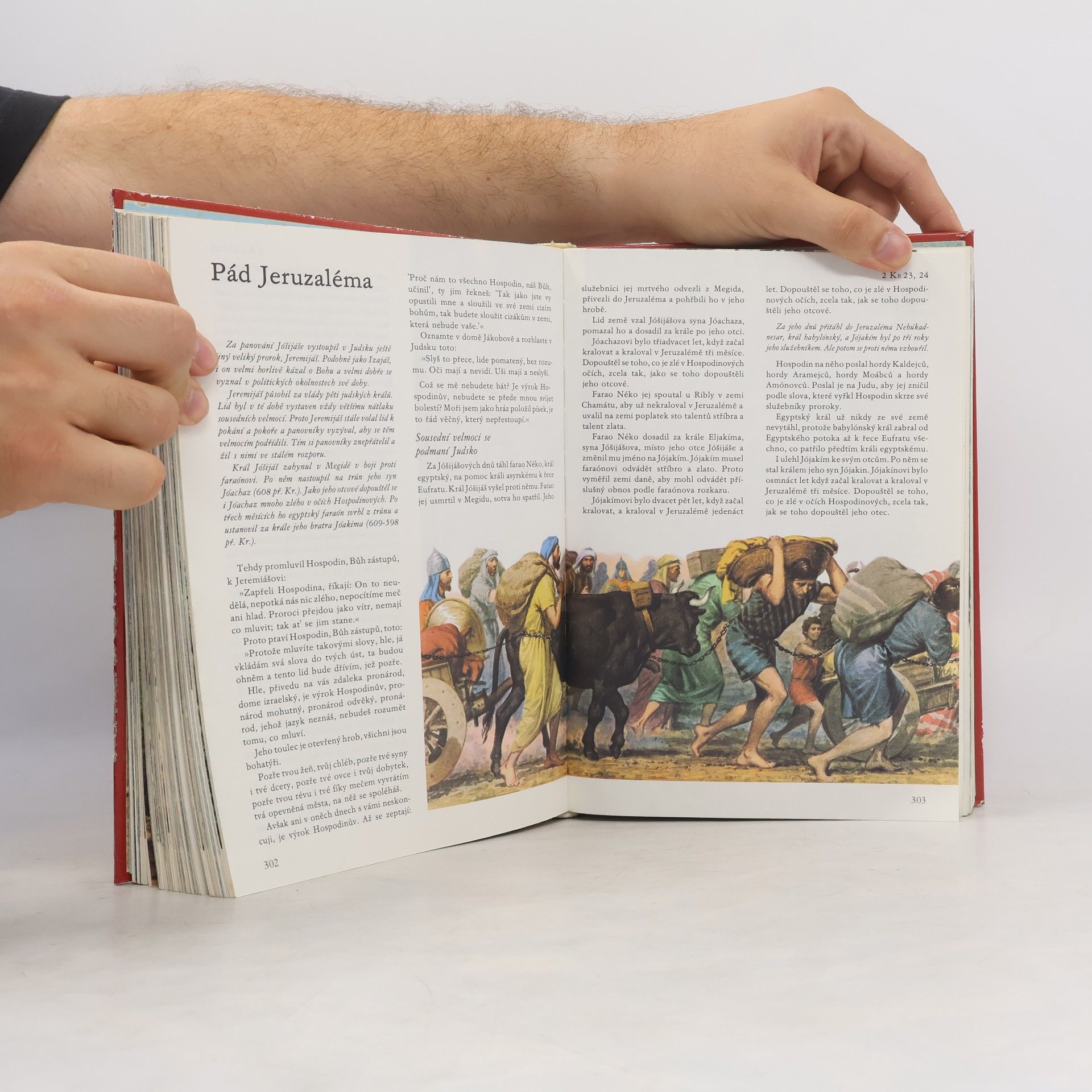 Kolektiv autorů Ilustrovaná Bible