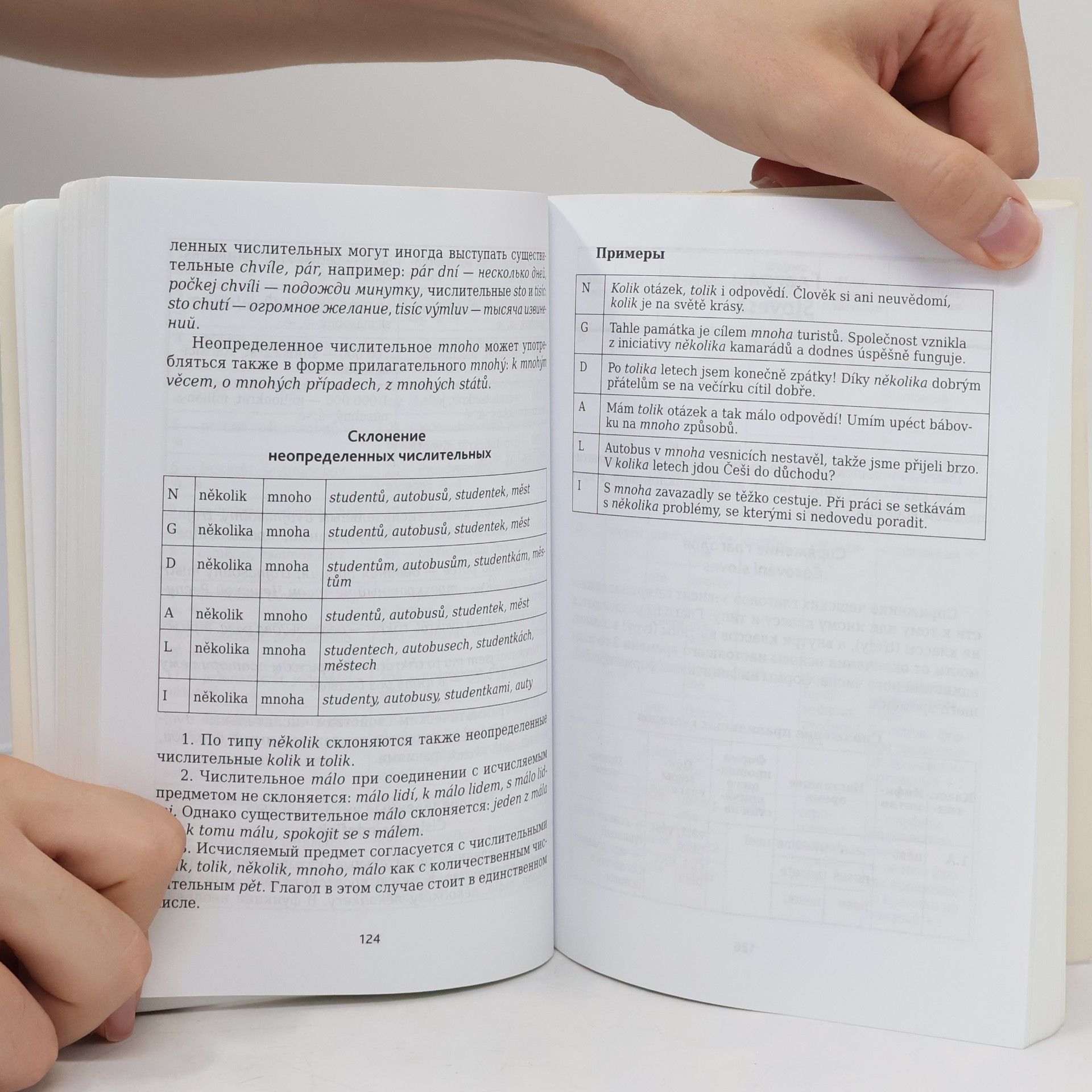 V.S Knyaznyakov Чешская грамматика в таблицах и схемах (Česká gramatika v tabulkách a schématech)