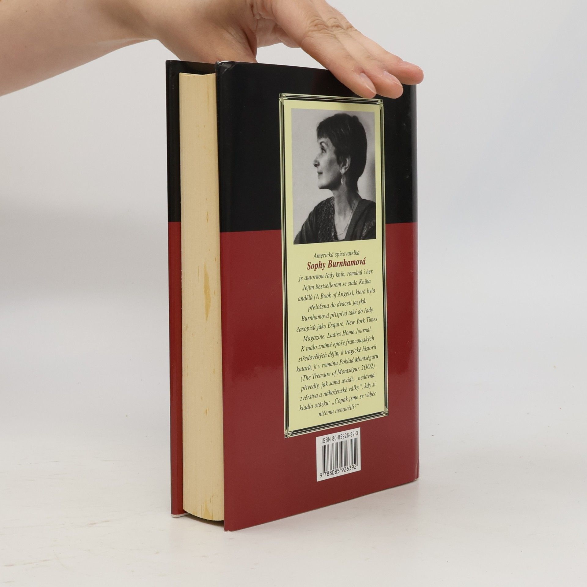 Sophy Burnham Poklad Montséguru