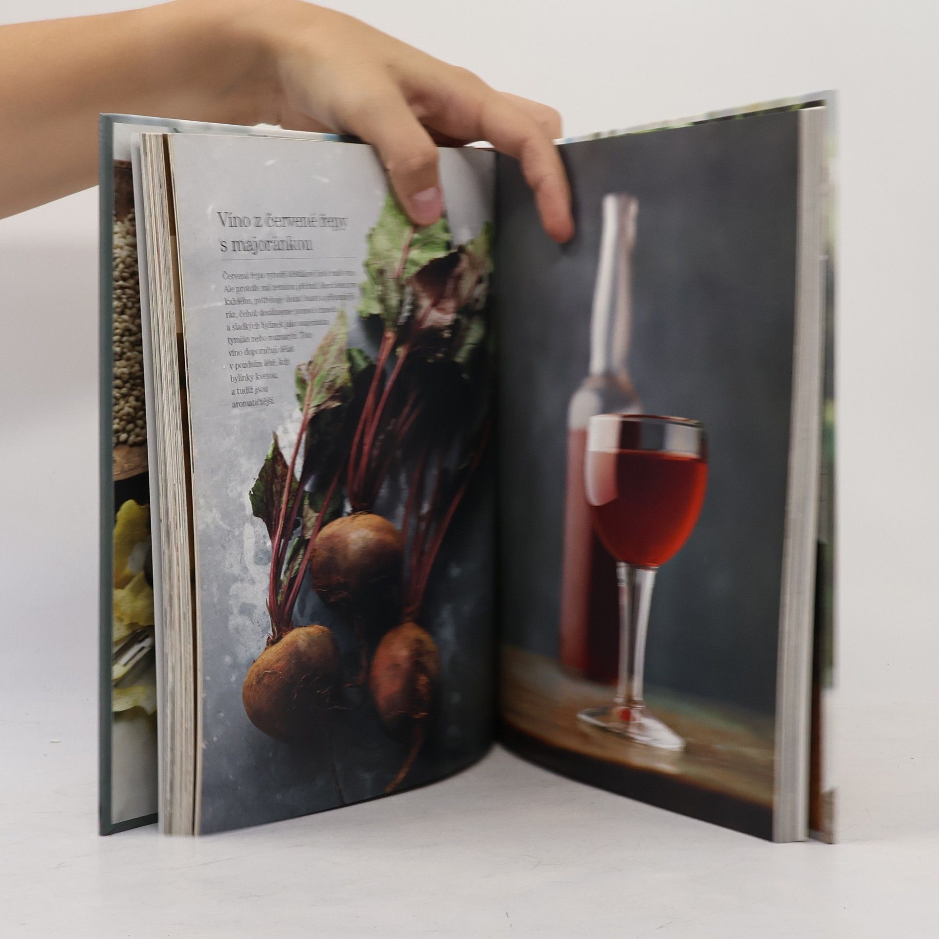 Lindy Wildsmith Domácí nápoje s alkoholem i bez něj