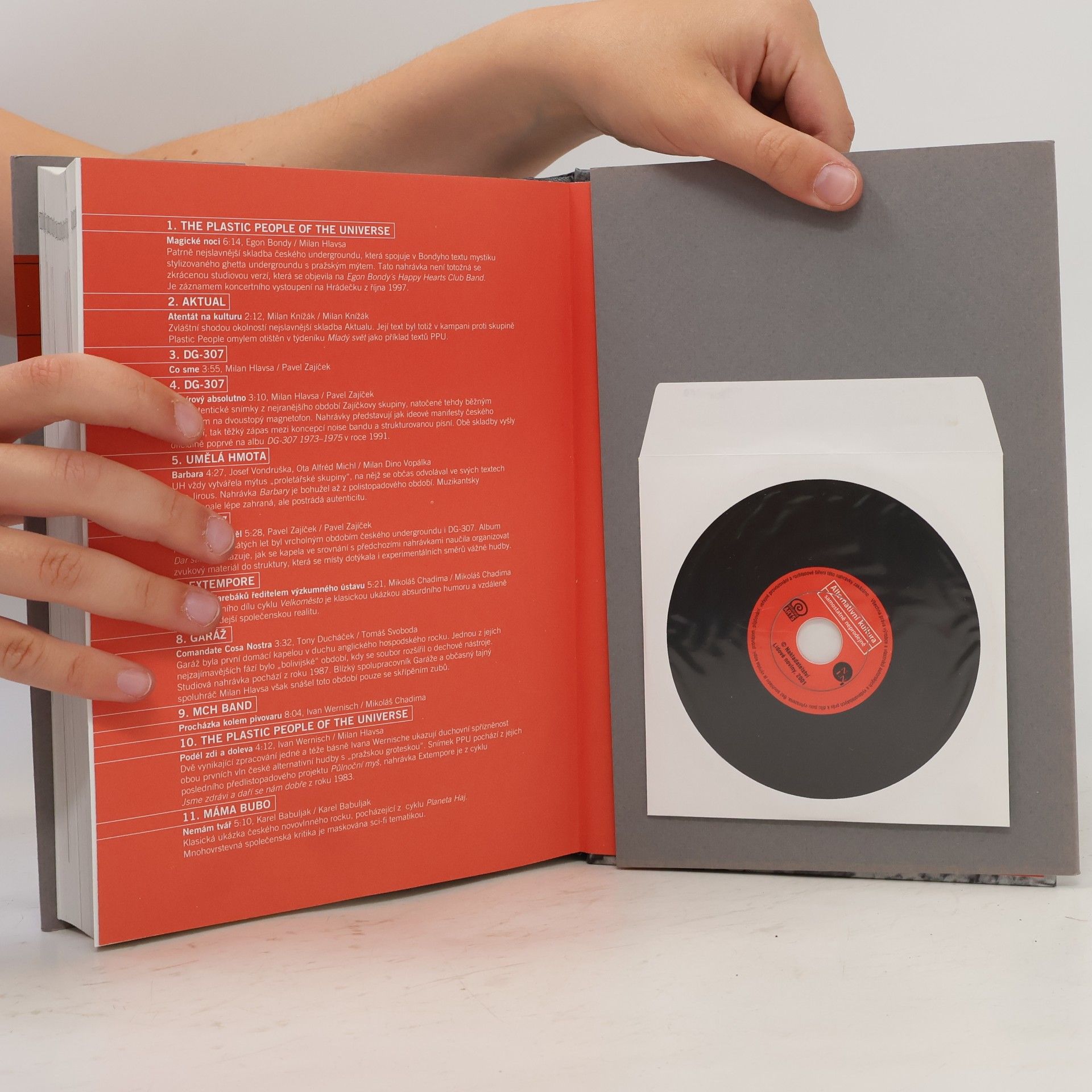 Stanislav Dvorský Alternativní kultura - Příběh české společnosti 1945–1989