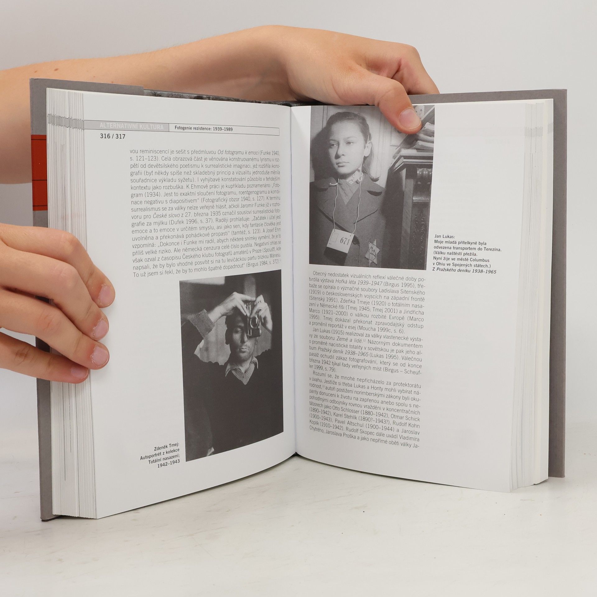 Stanislav Dvorský Alternativní kultura - Příběh české společnosti 1945–1989