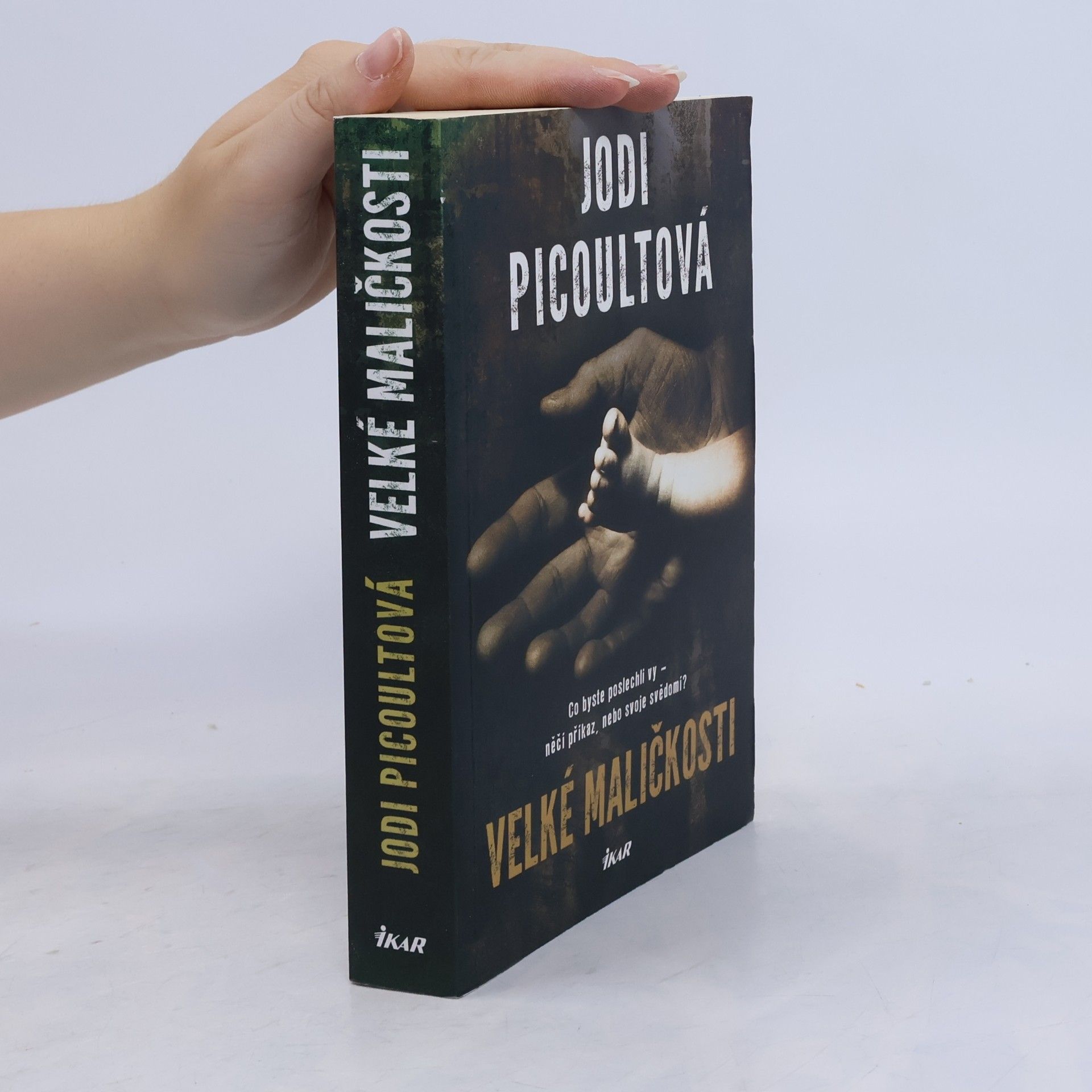 Jodi Picoult Velké maličkosti