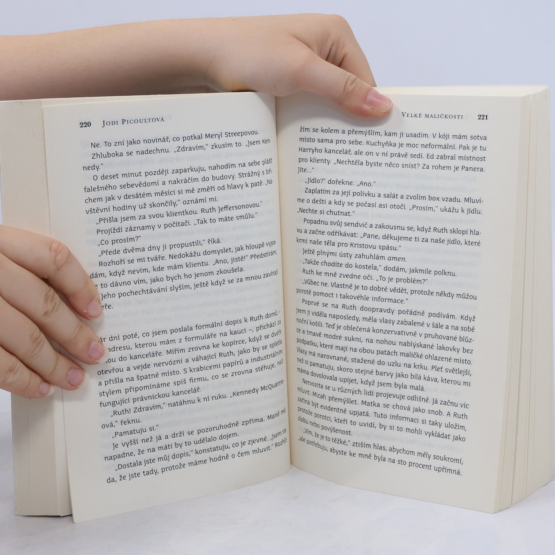 Jodi Picoult Velké maličkosti