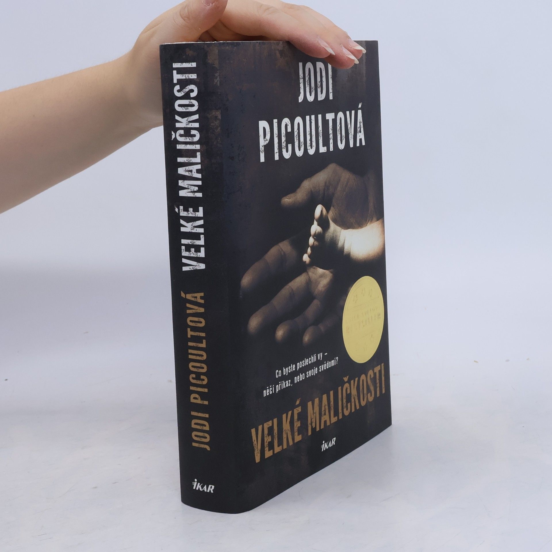 Jodi Picoult Velké maličkosti