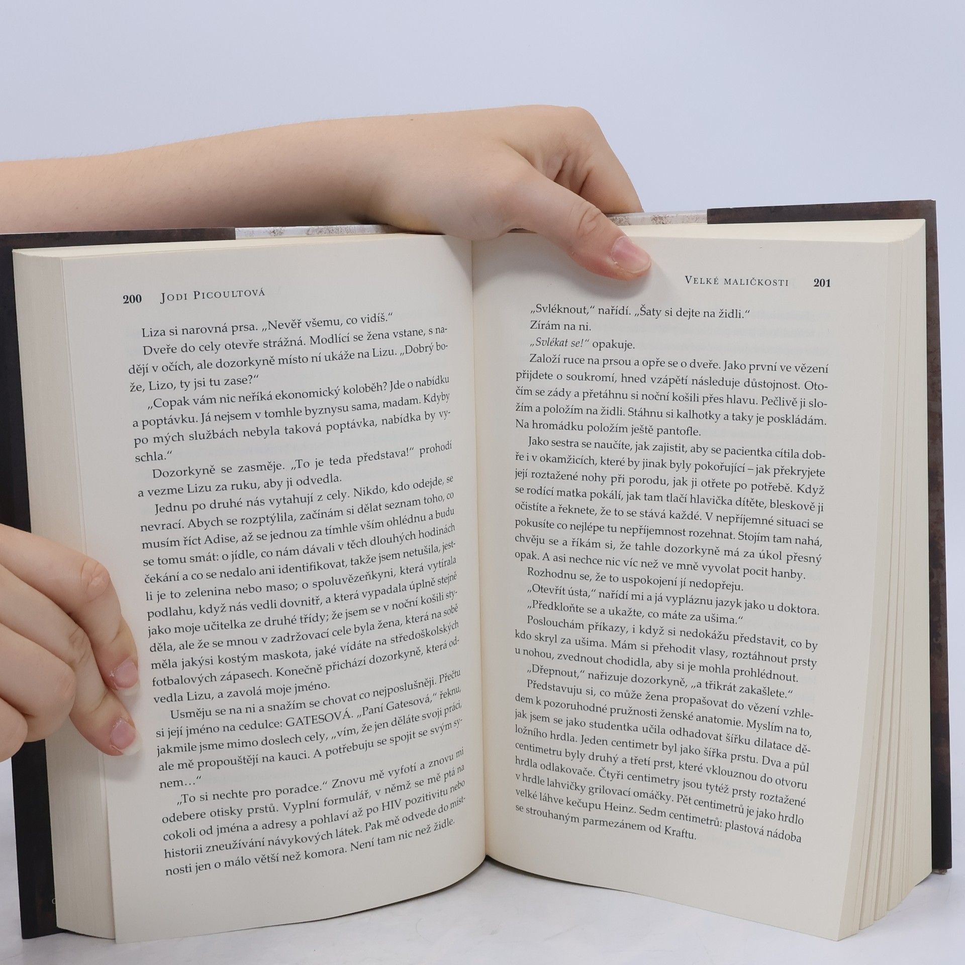Jodi Picoult Velké maličkosti